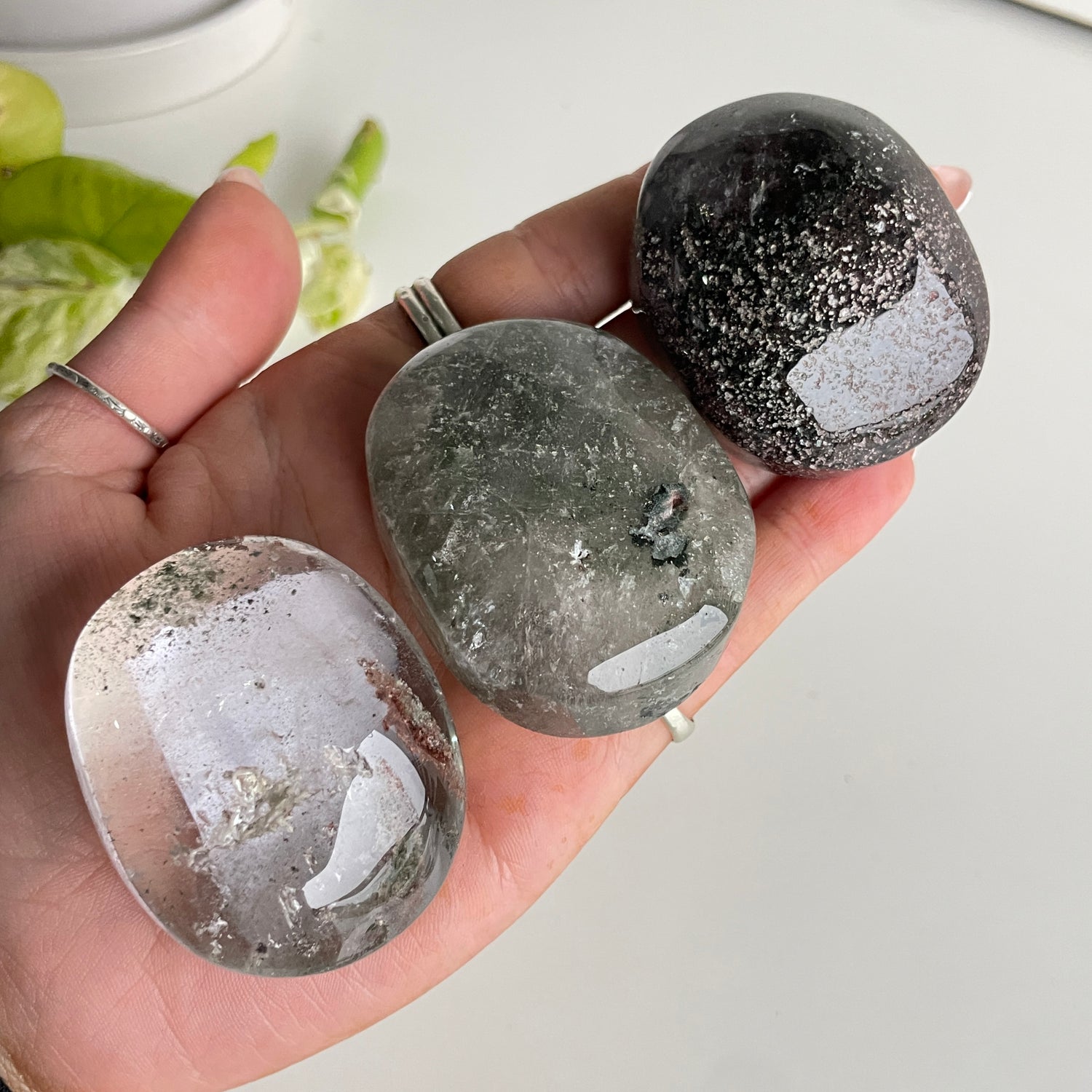 Lodolite Palmstone Medium