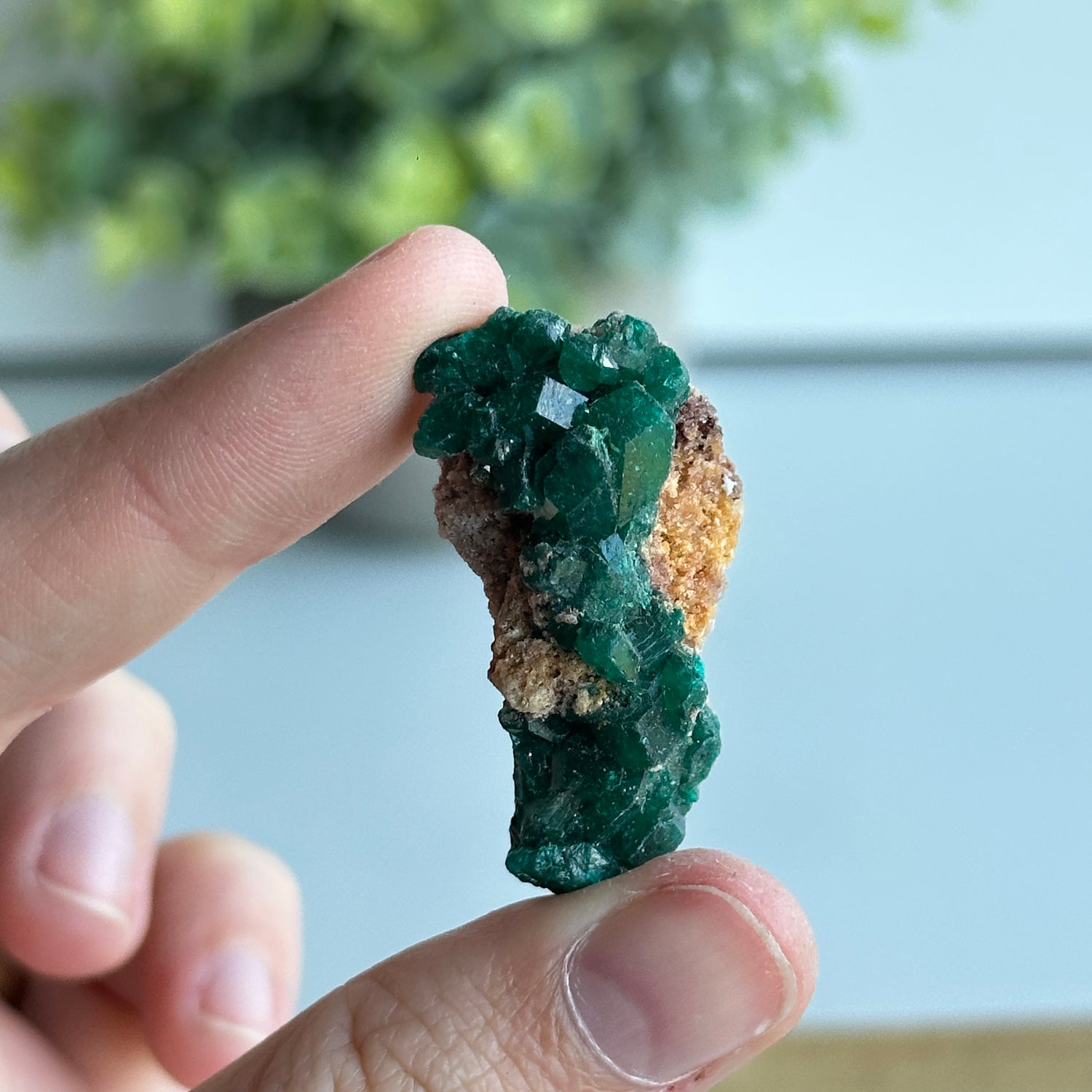 Diaoptase Pce 8g