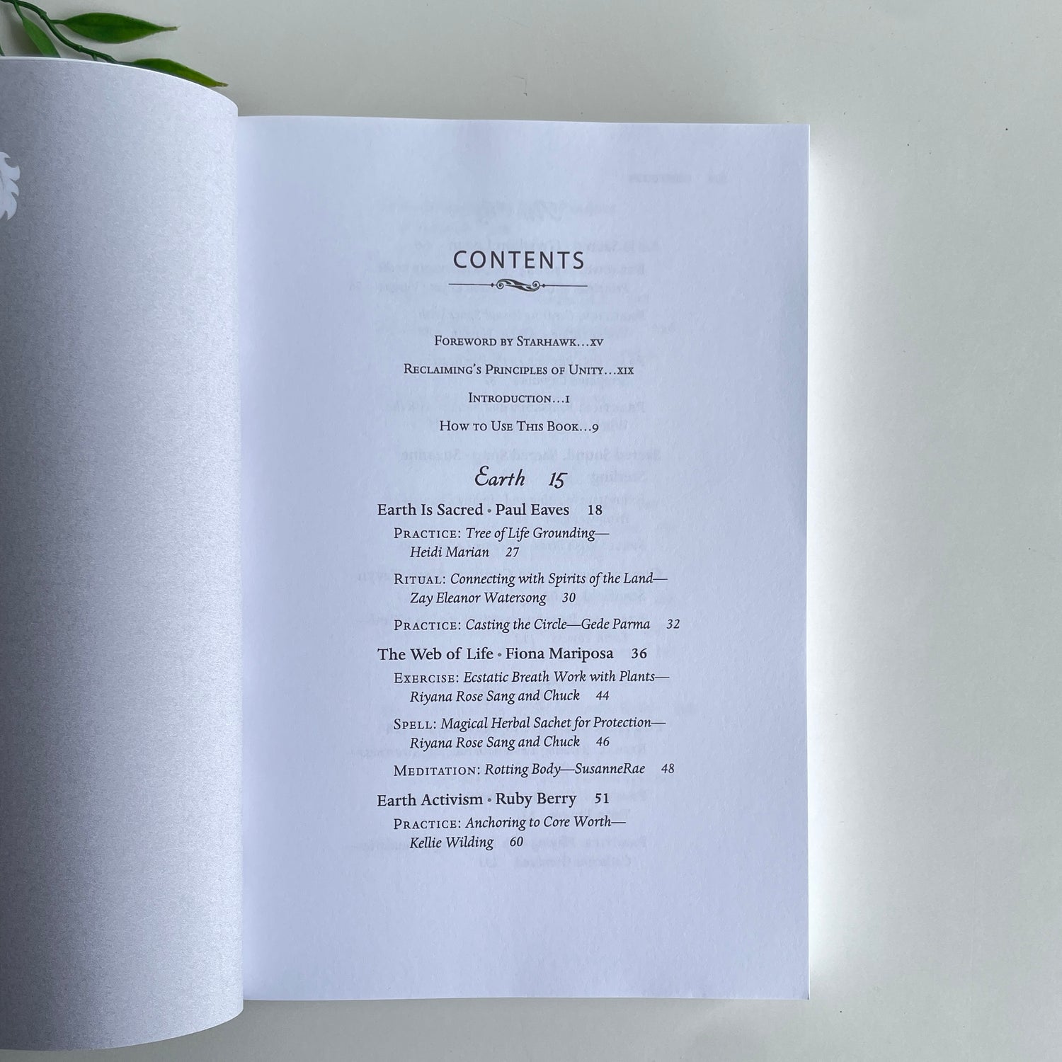 Elements Of Magic Jane Meredith & Gede Parma