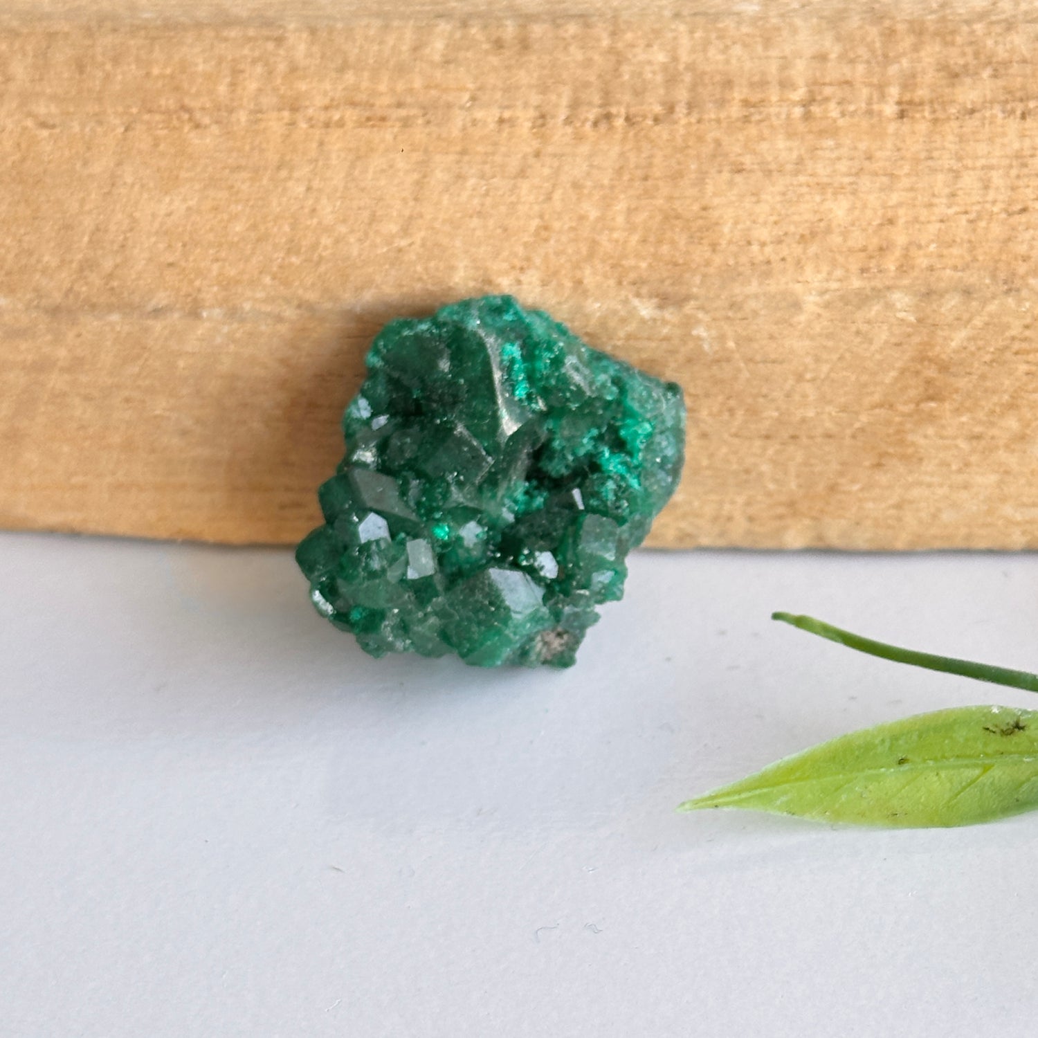 Dioptase Pce 6g