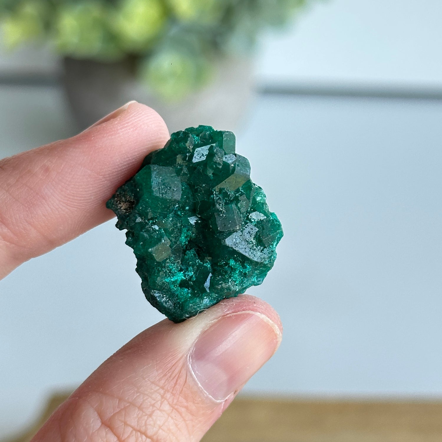 Dioptase Pce 6g