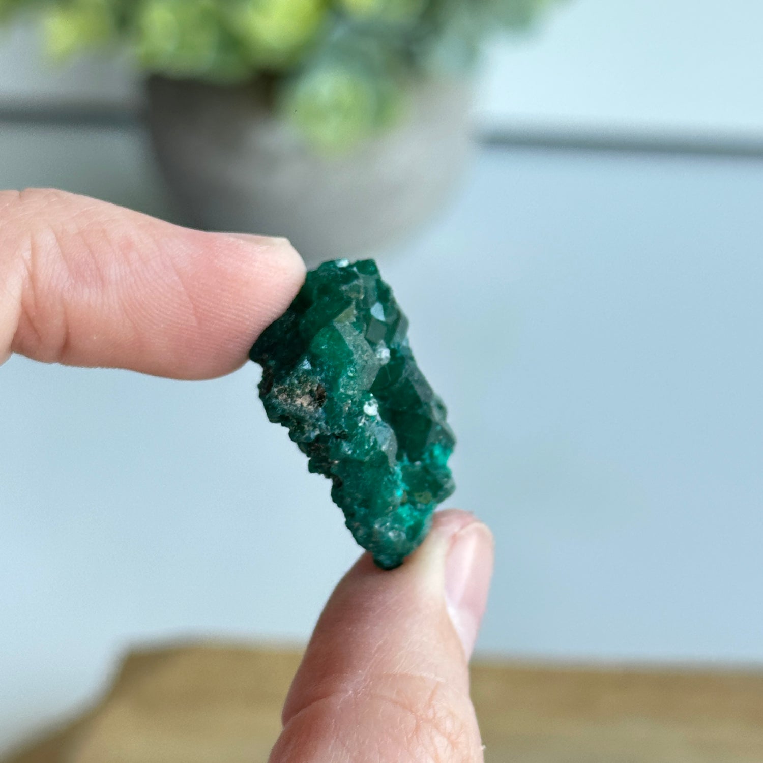 Dioptase Pce 6g