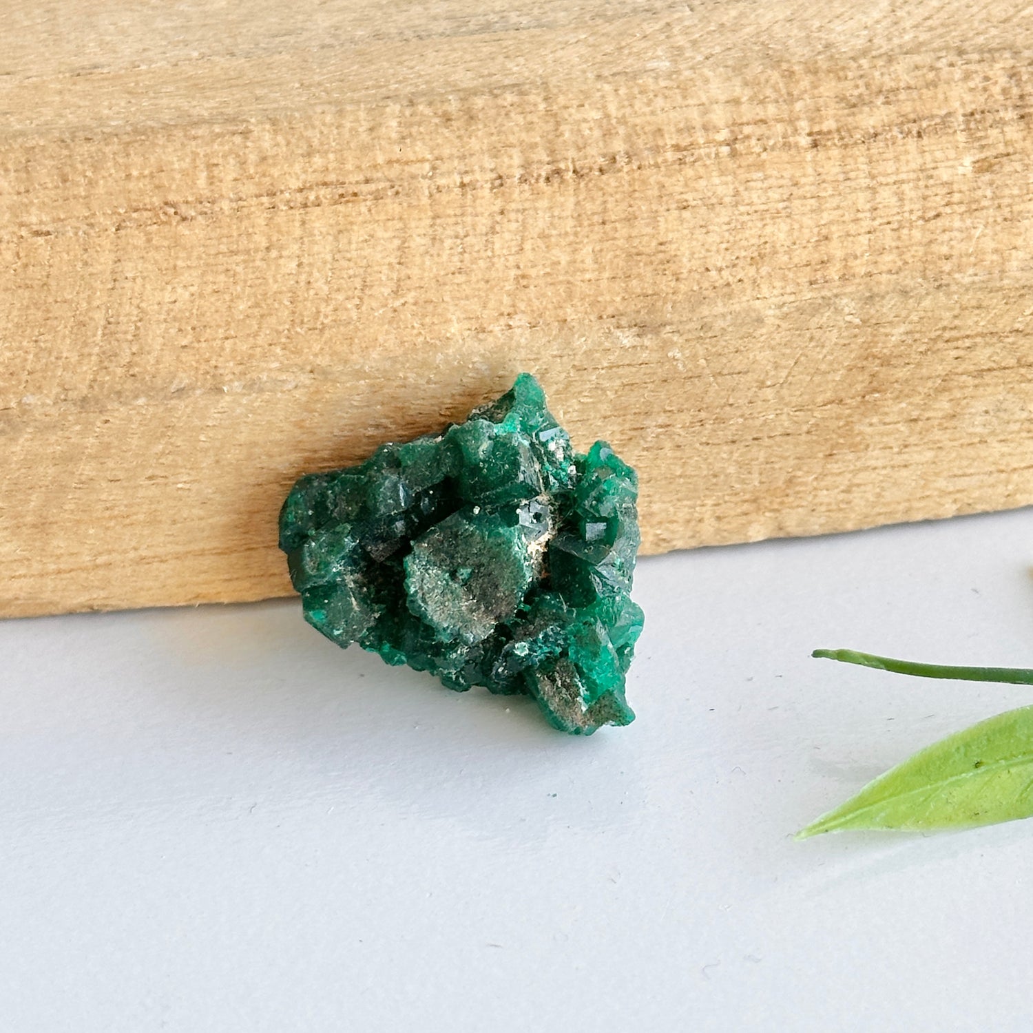 Diaoptase Pce 6g