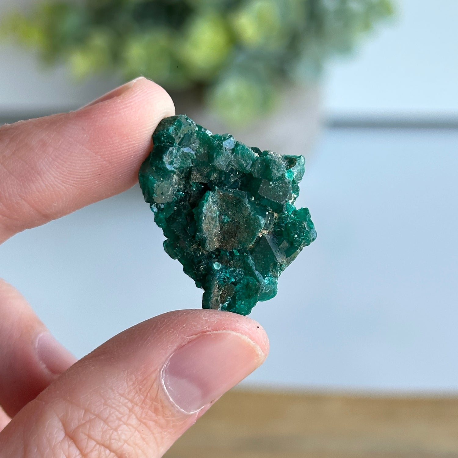 Diaoptase Pce 6g
