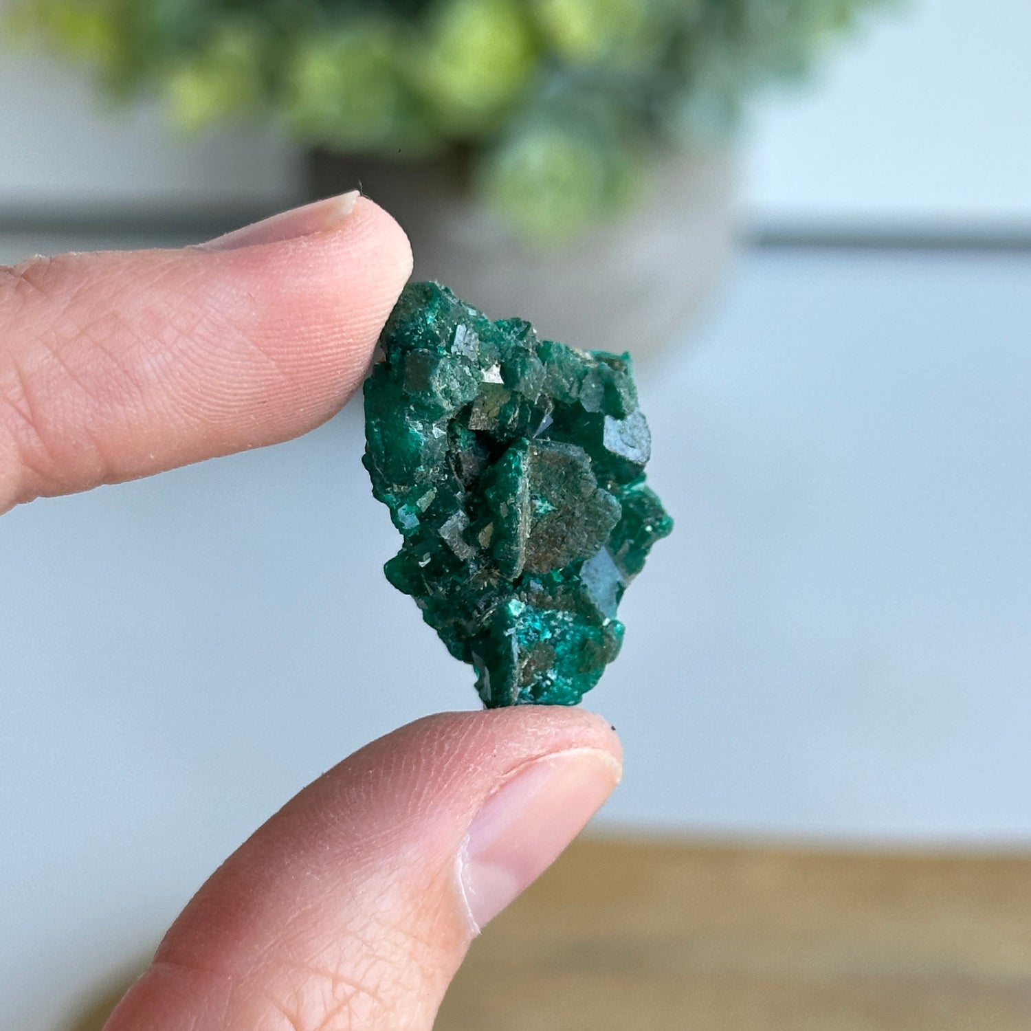 Diaoptase Pce 6g