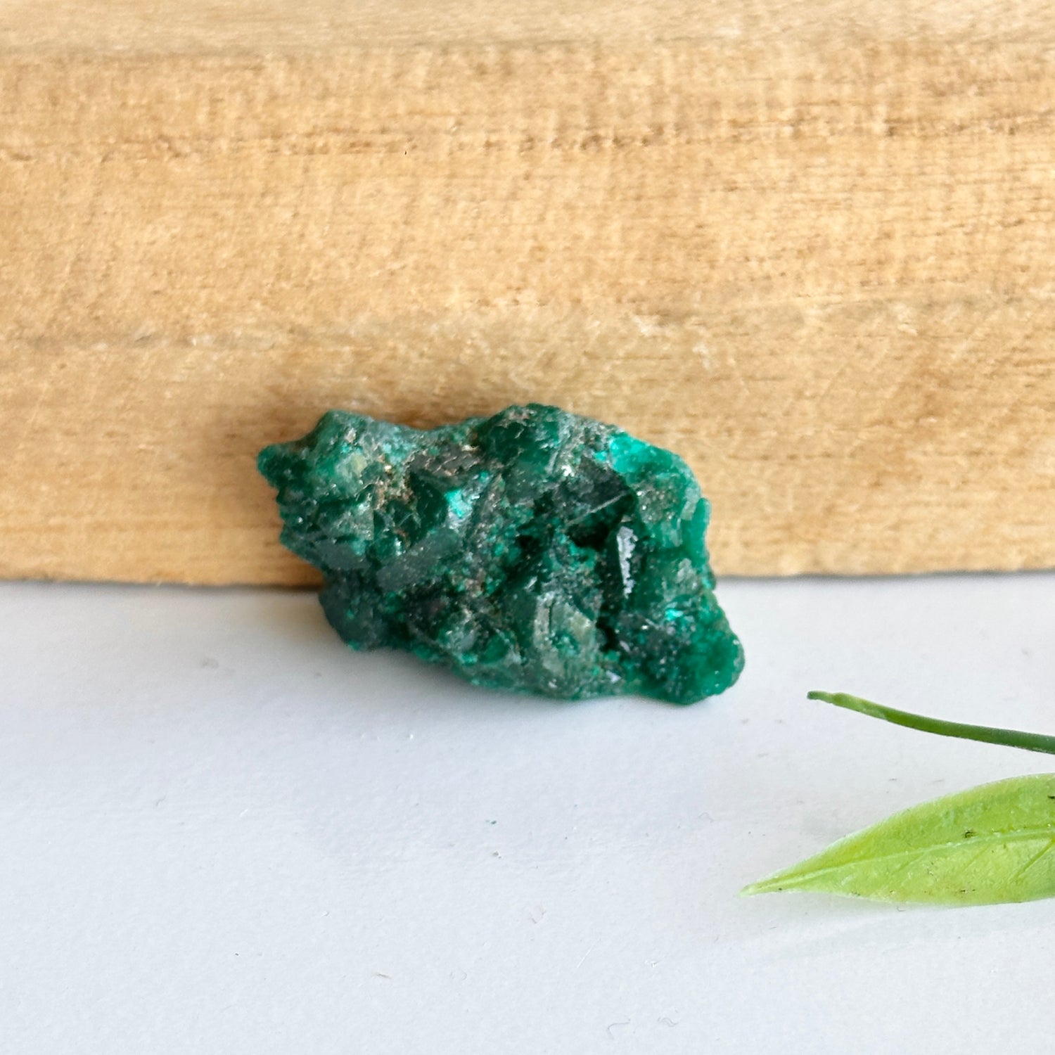 Diaoptase Pce 8g