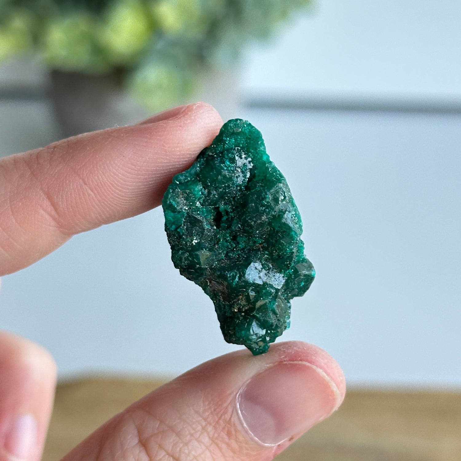 Diaoptase Pce 8g