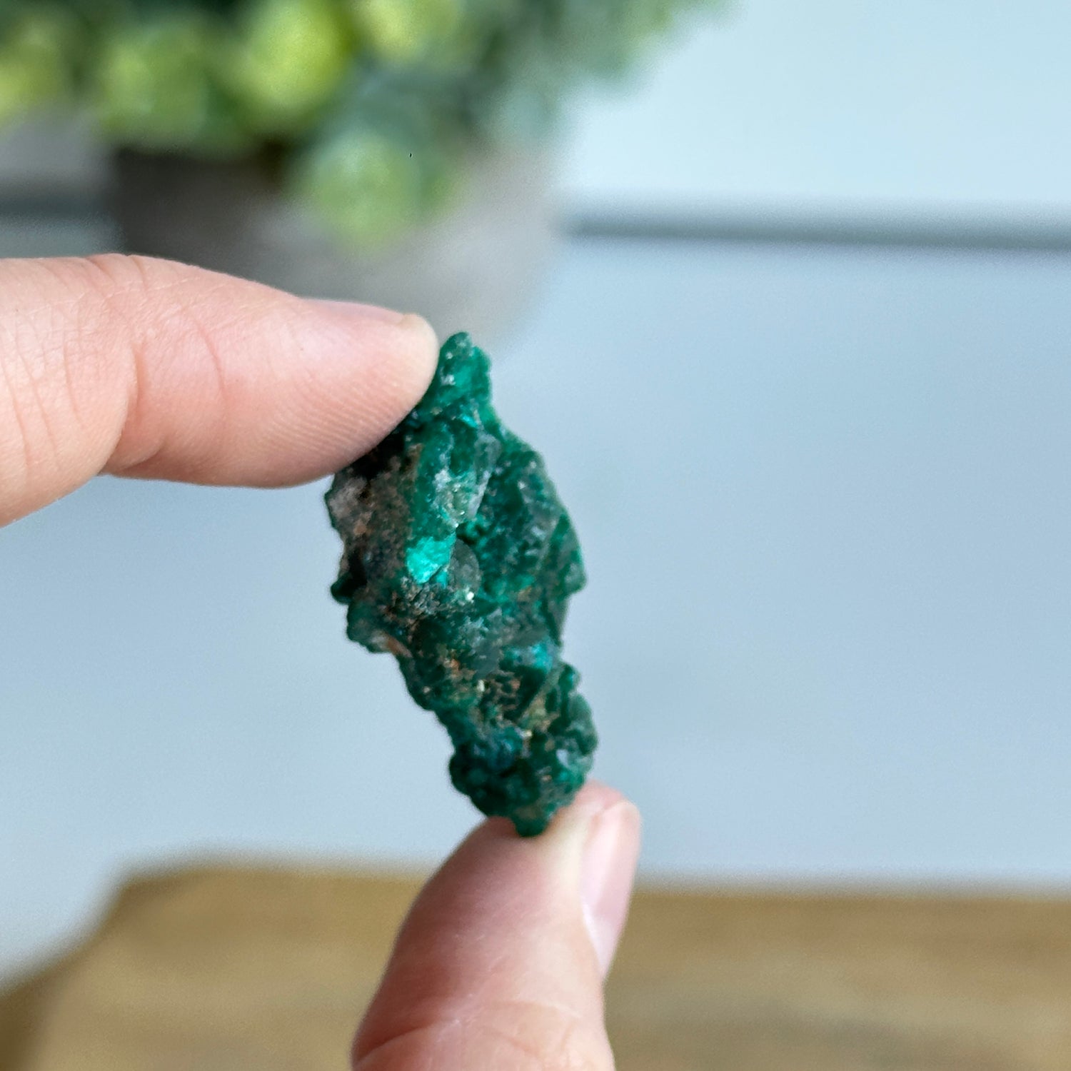 Diaoptase Pce 8g