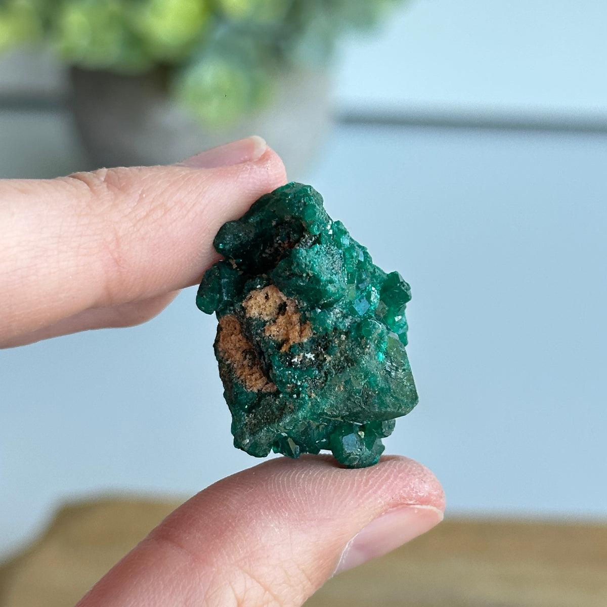 Dioptase Pce 10g