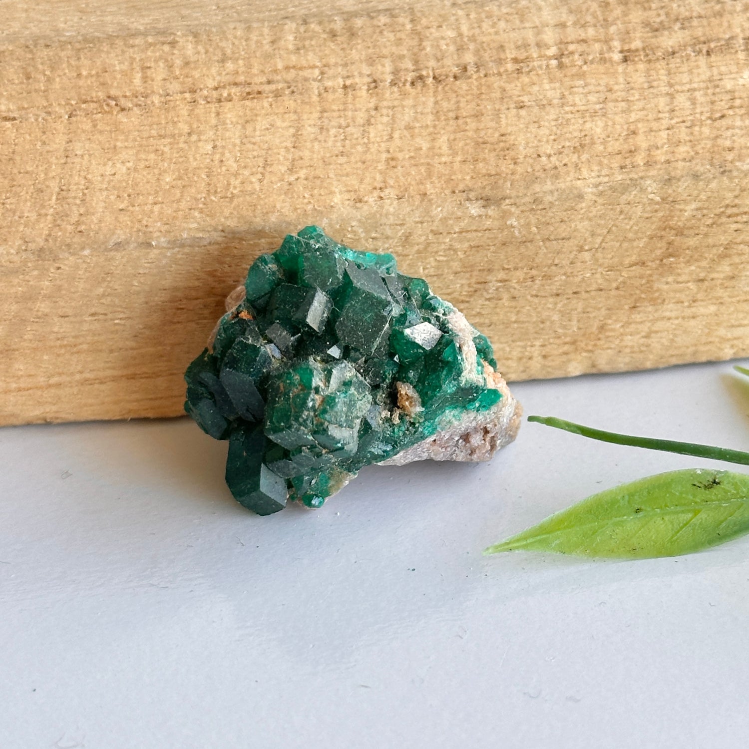 Diaoptase Pce 10g