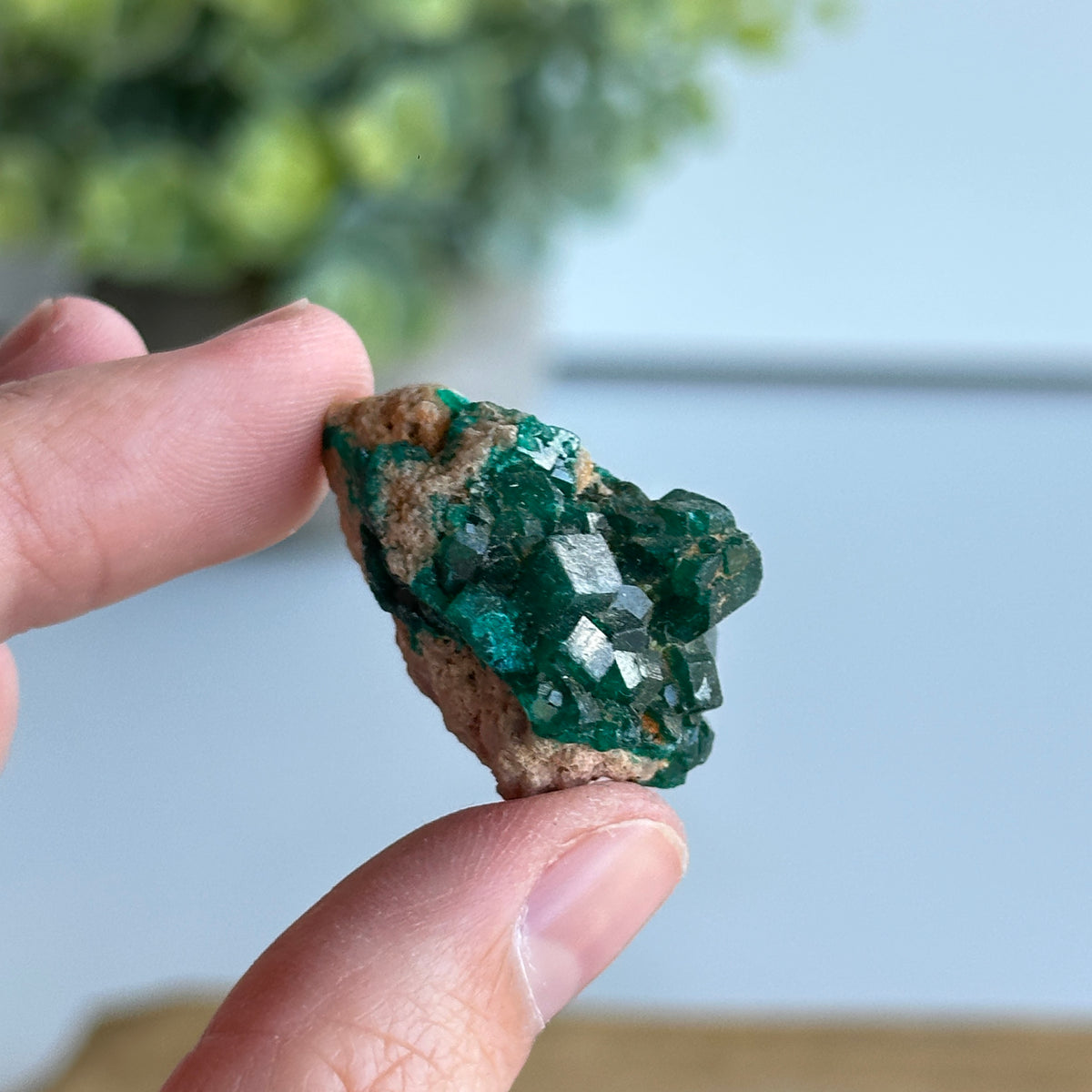 Diaoptase Pce 10g