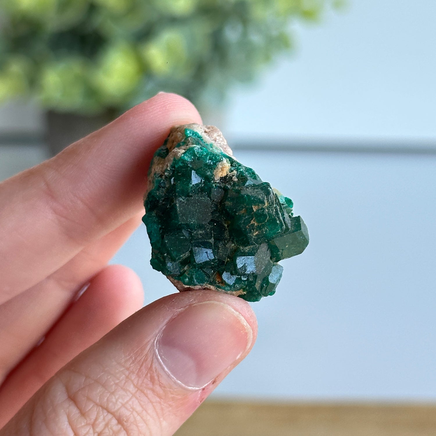 Diaoptase Pce 10g