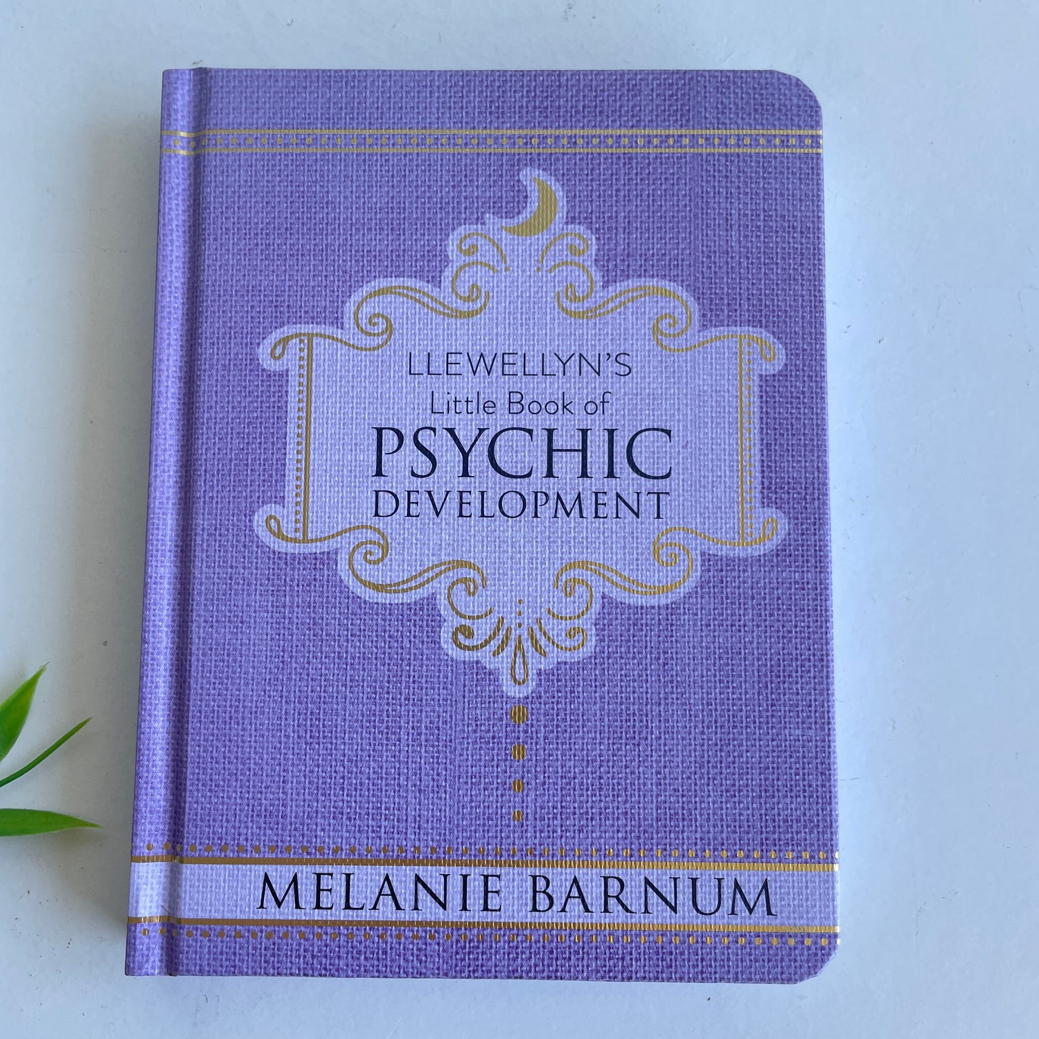 Llewlleyns Little Book Of Psychic Development