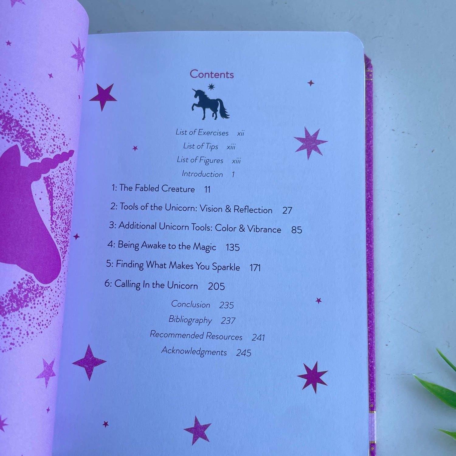 Llewellyn's Little Book Of Unicorns Angela Wix