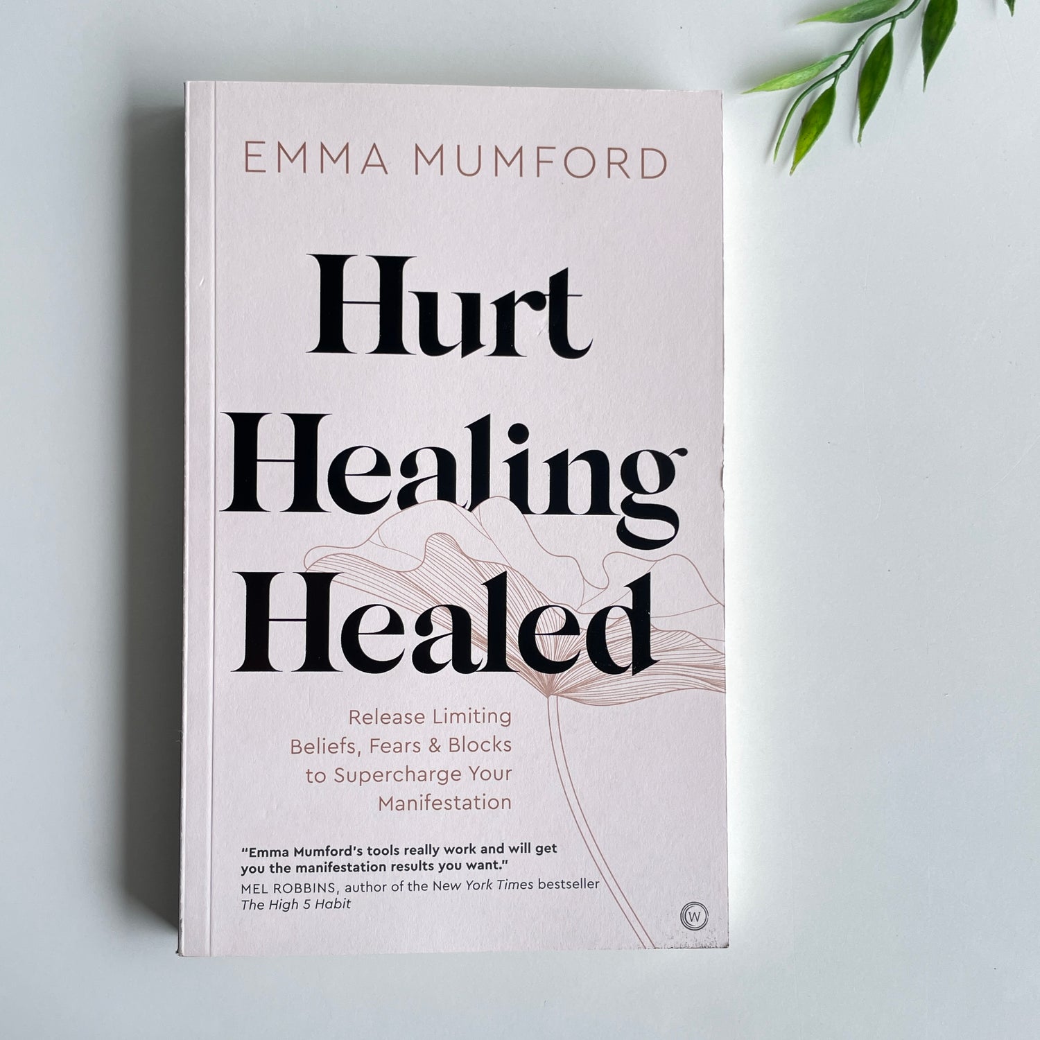 Hurt Healing Healed Emma Mumford