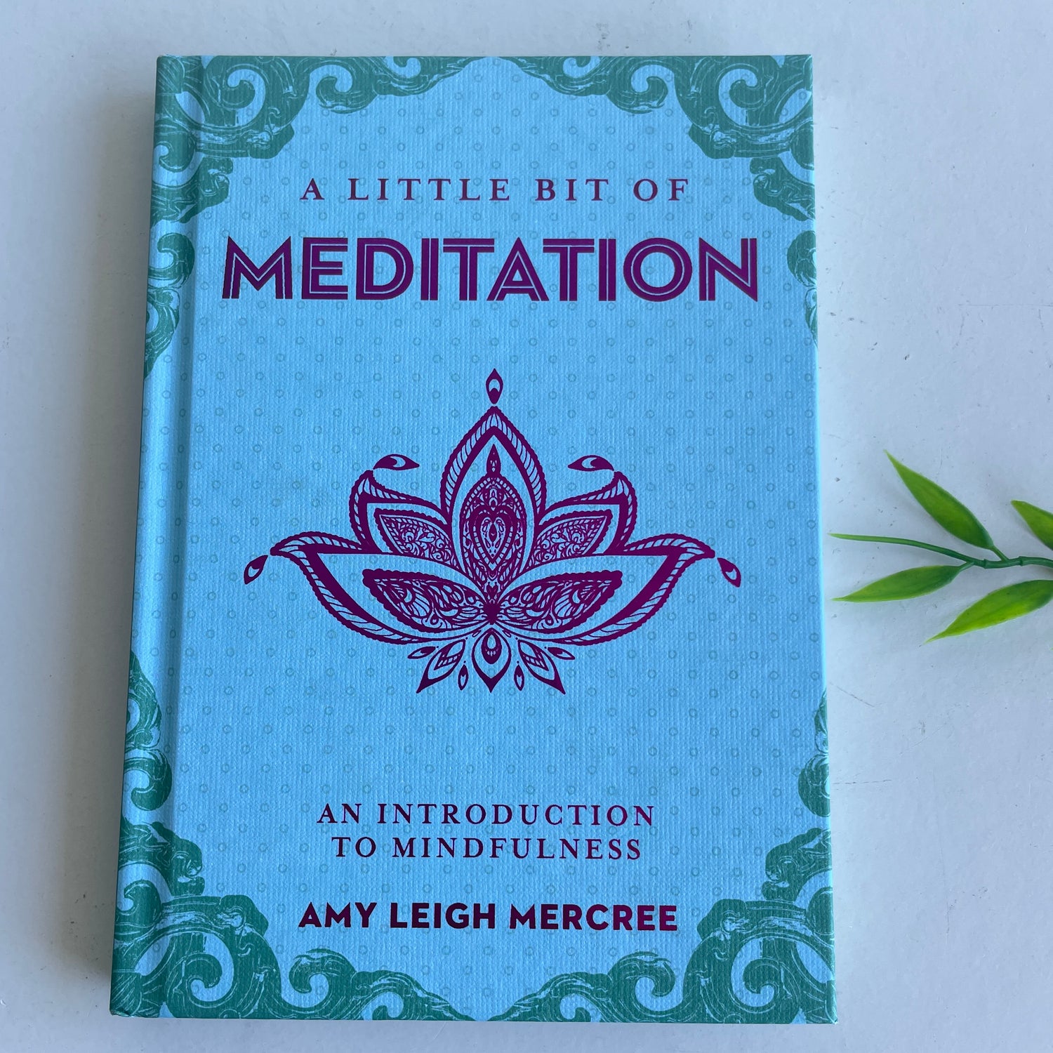 Little Bit Of Meditation Amy Leigh Mercree