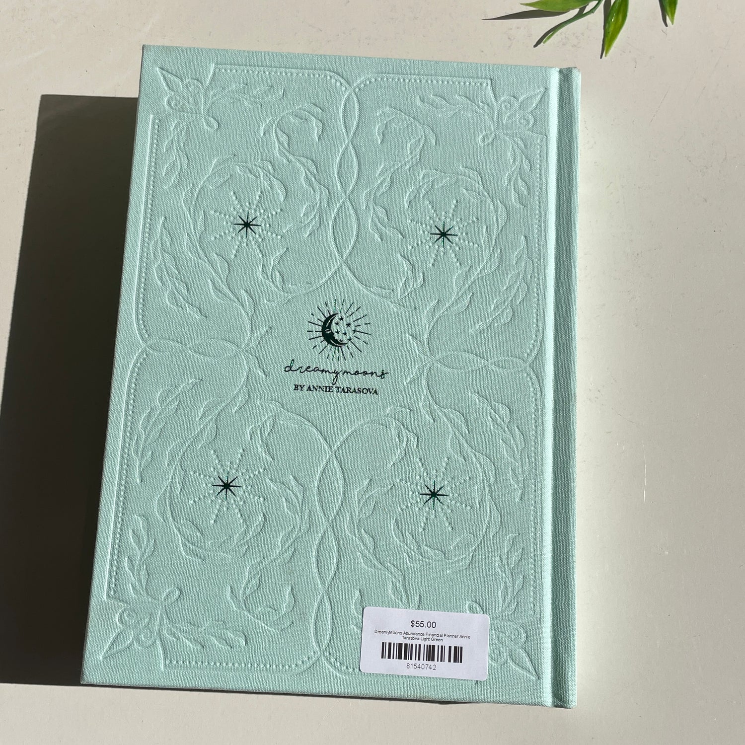 DreamyMoons Abundance Financial Planner Annie Tarasova Light Green