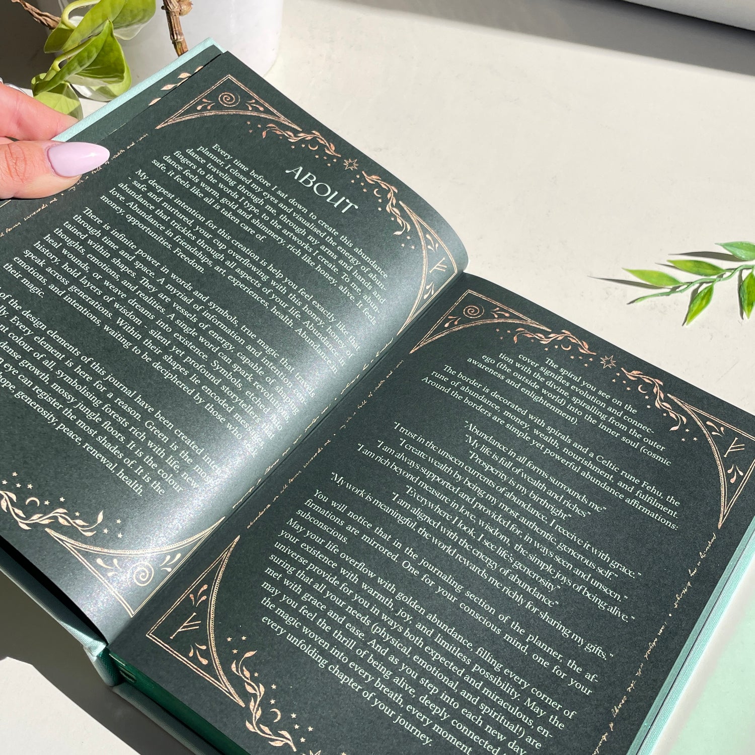DreamyMoons Abundance Financial Planner Annie Tarasova Light Green