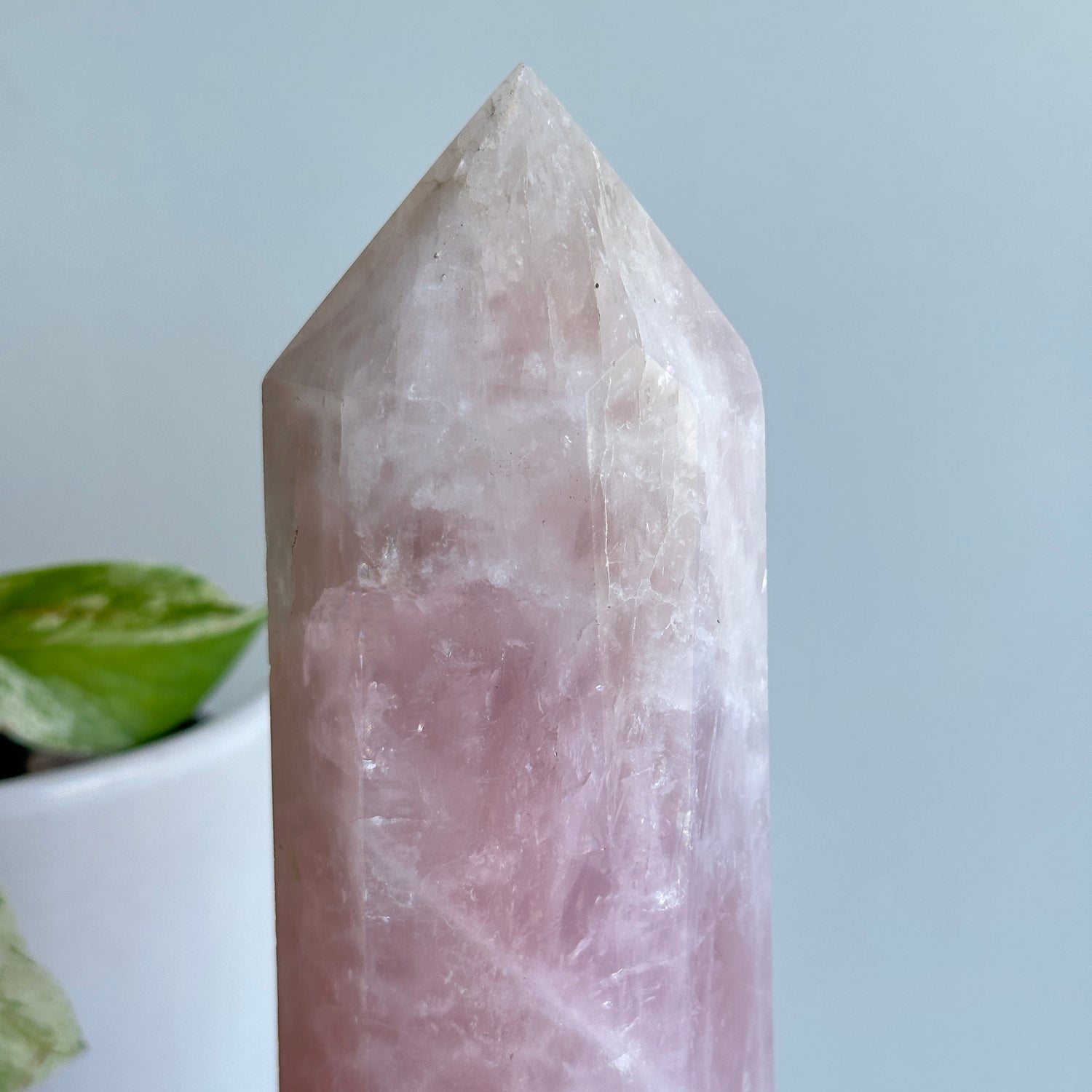Rose Quartz Generator 24.6cm