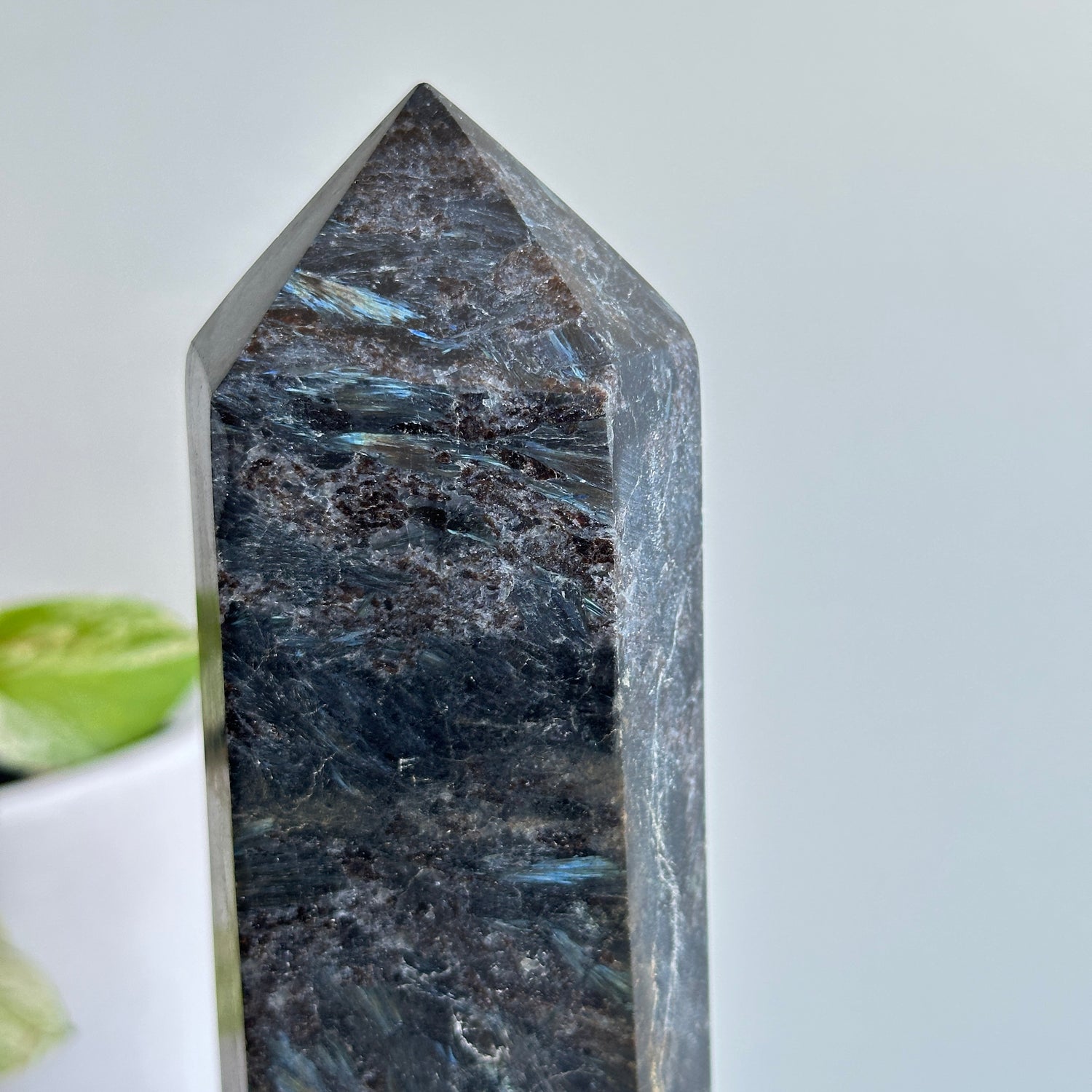 Arfvedsonite Generator 25.2cm