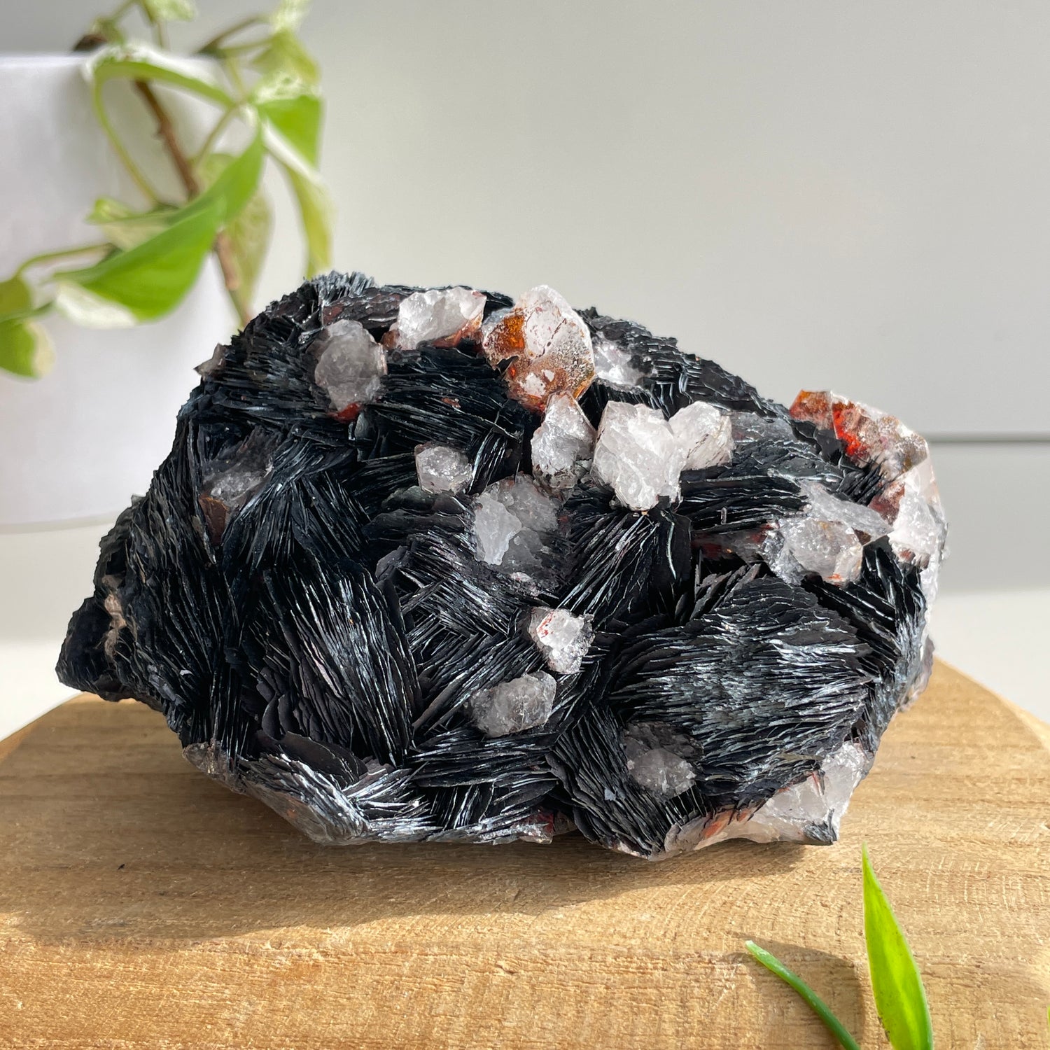 Specularite  Quartz Cluster 1.184kg