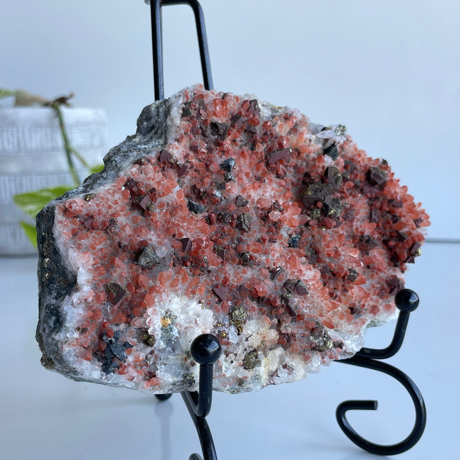 Pyrite & Quartz Cluster 708g