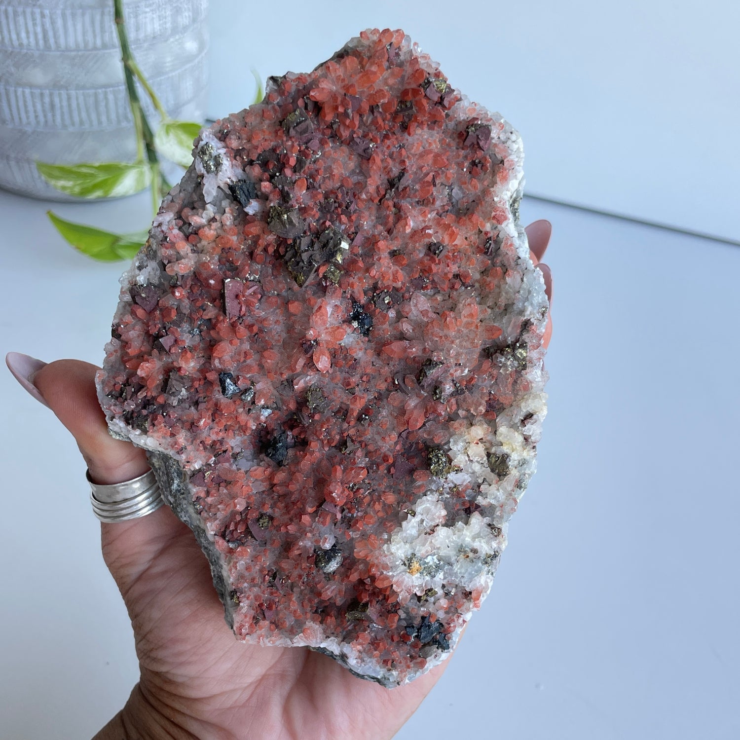 Pyrite & Quartz Cluster 708g