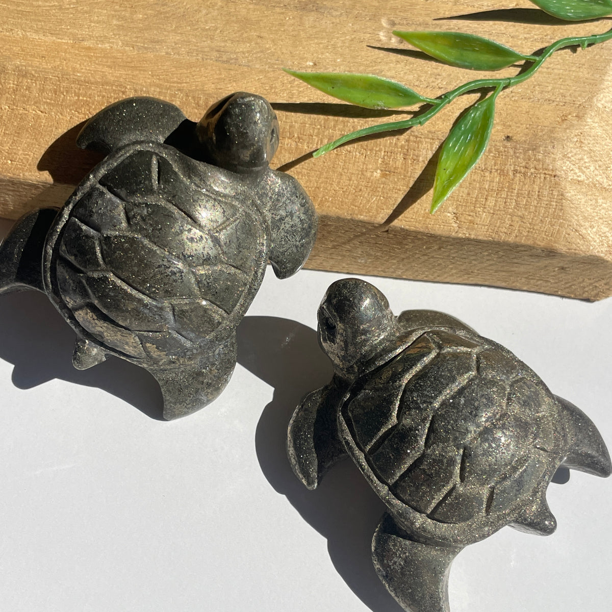 Pyrite Turtle