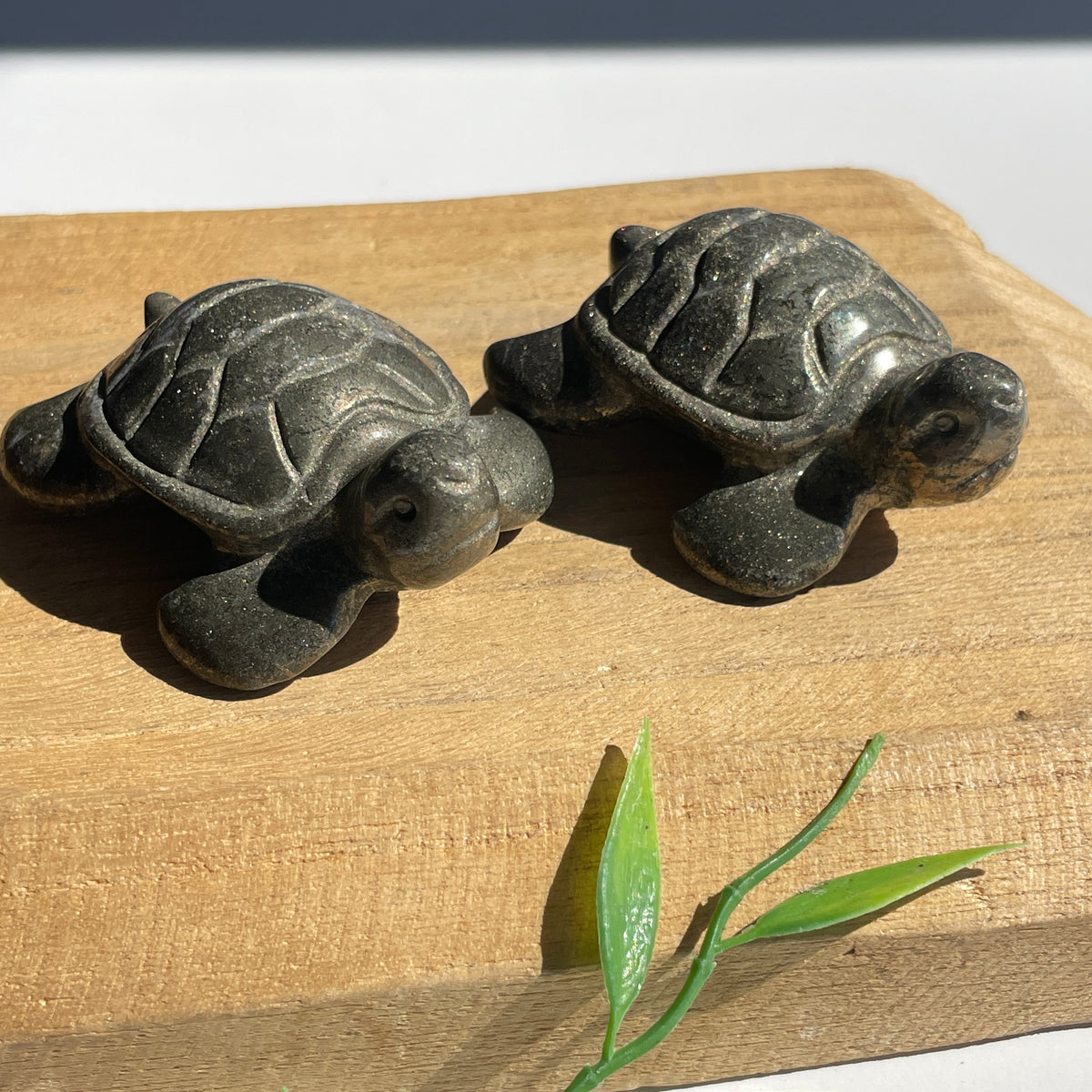 Pyrite Turtle
