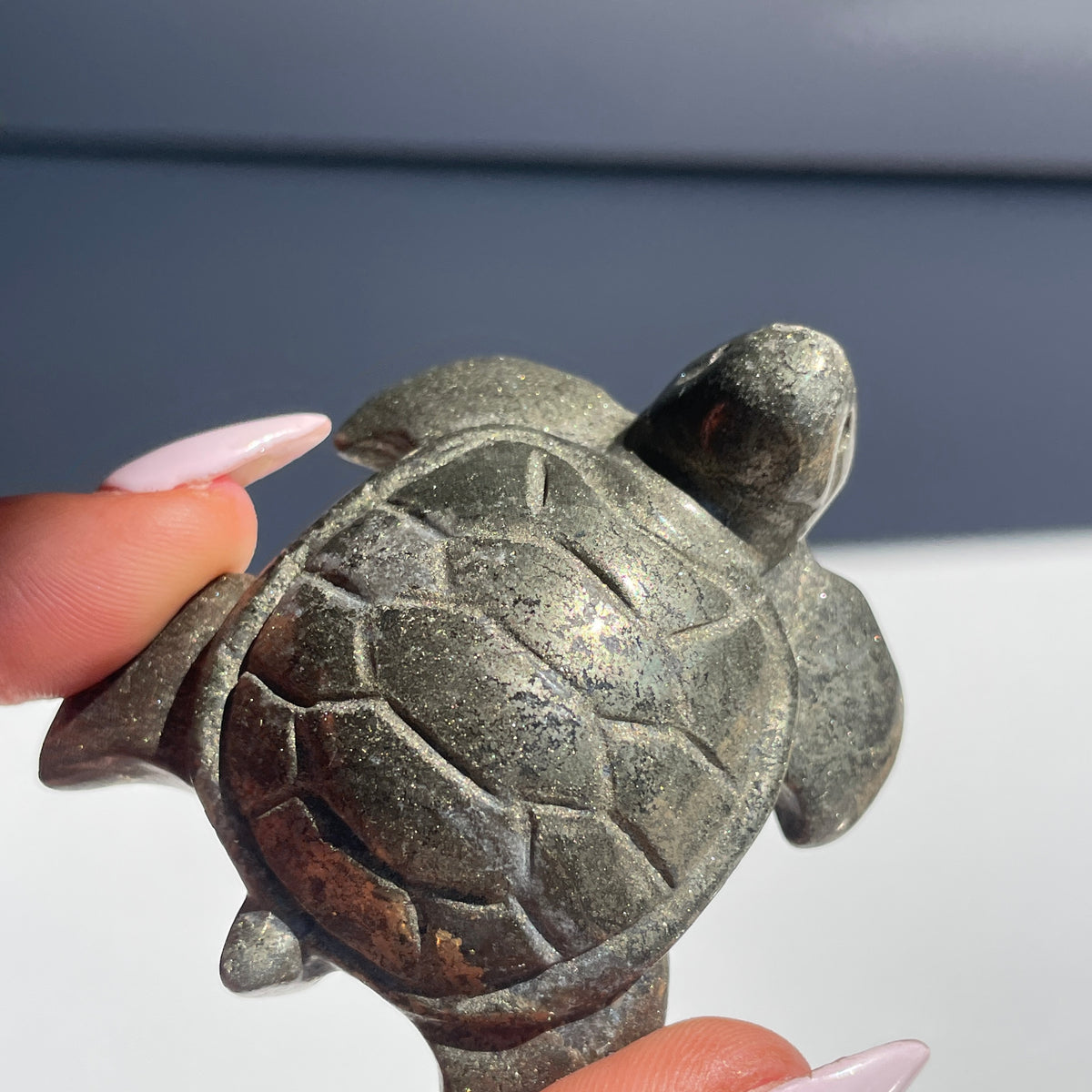 Pyrite Turtle