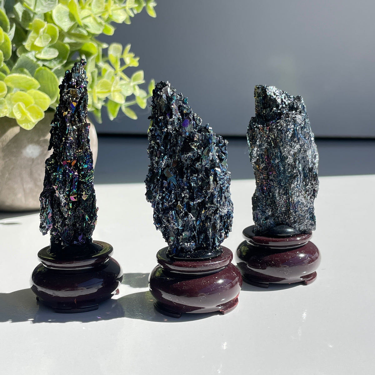 Carborundum Pce In Stand