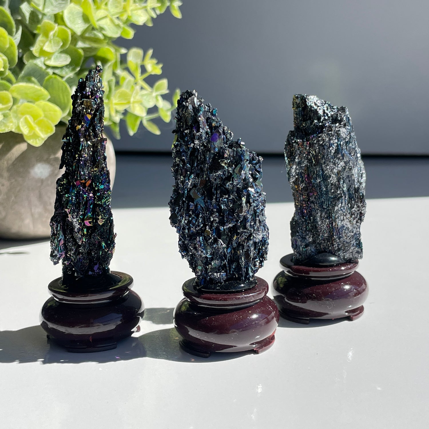 Carborundum Pce In Stand