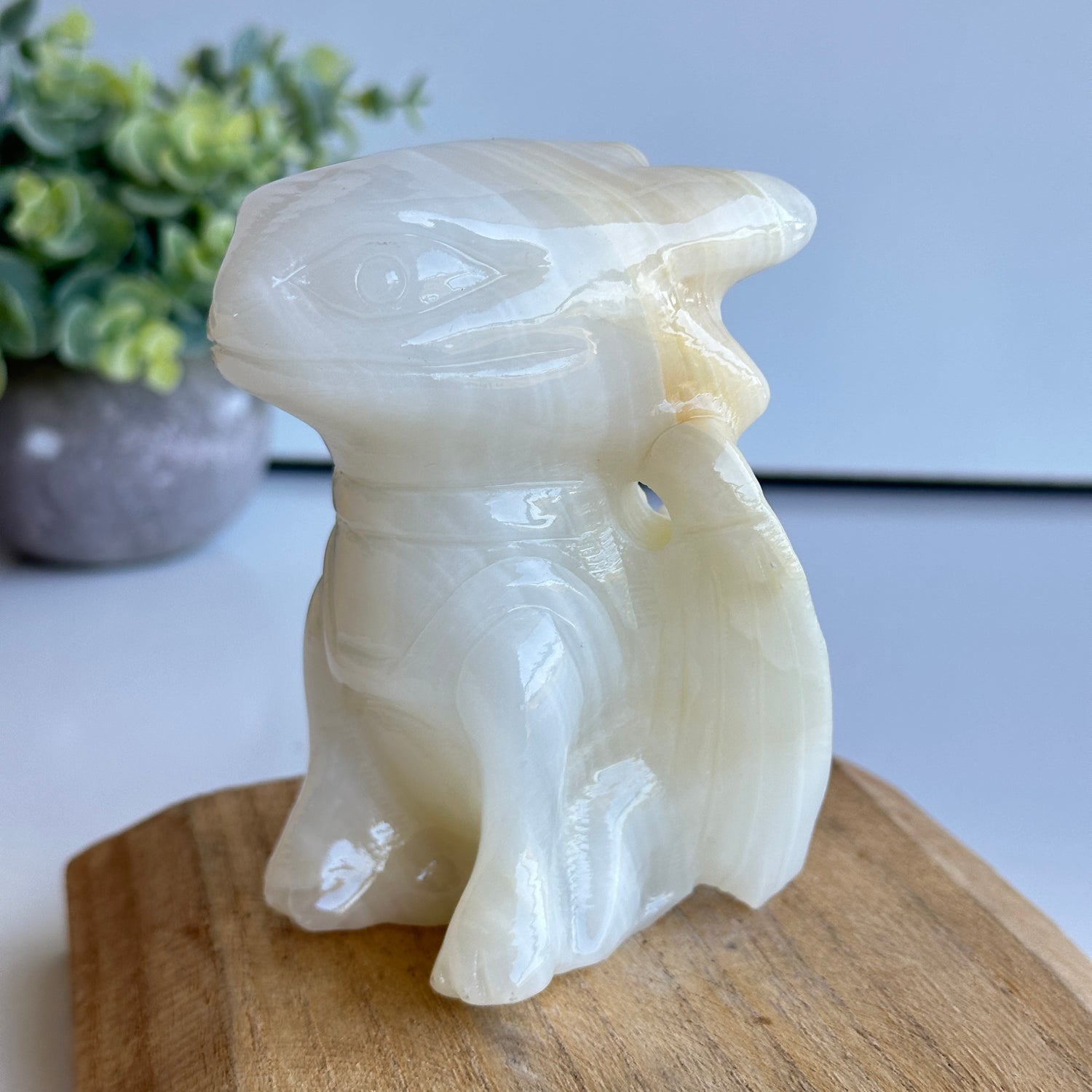Green Onyx XL Toothless 01