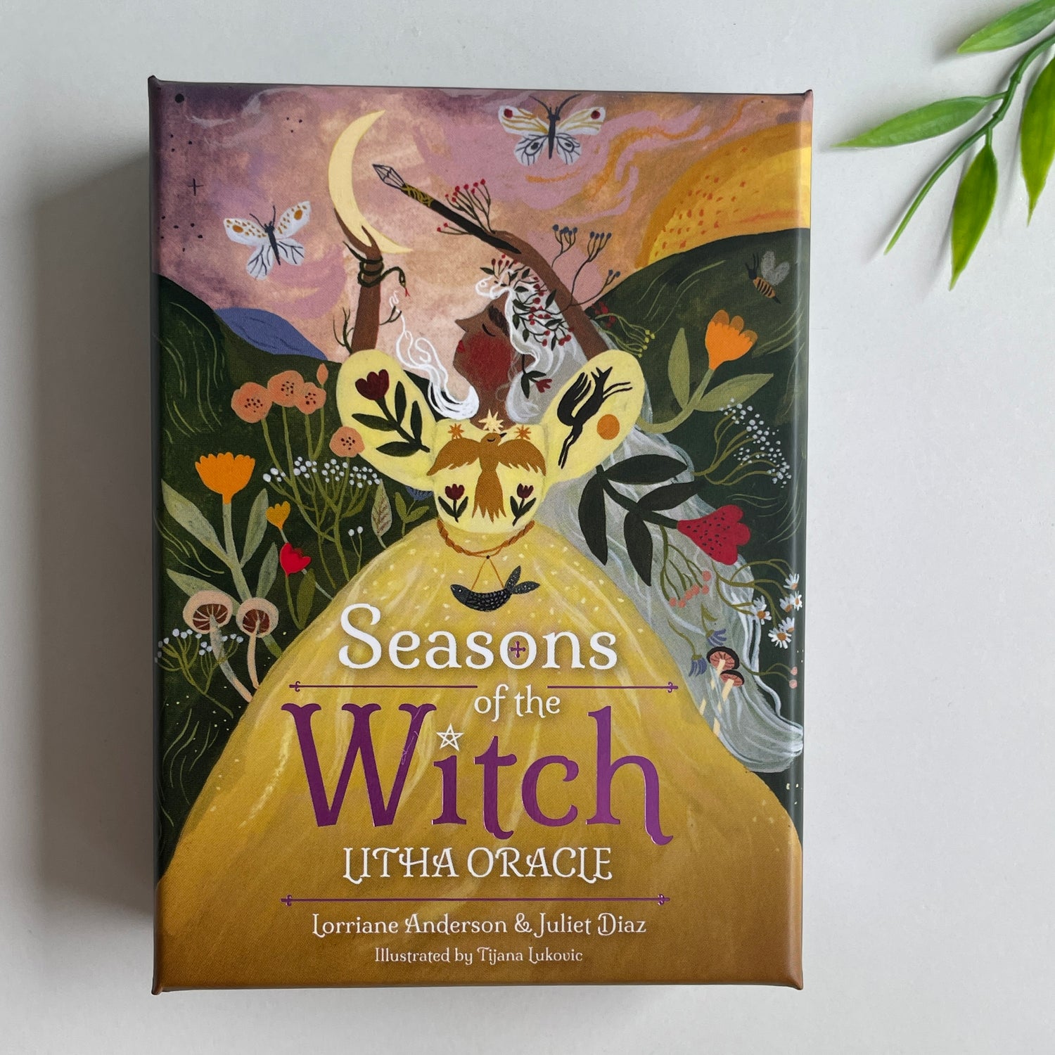 Seasons Of The Witch Litha Oracle Cards Lorraine Anderson