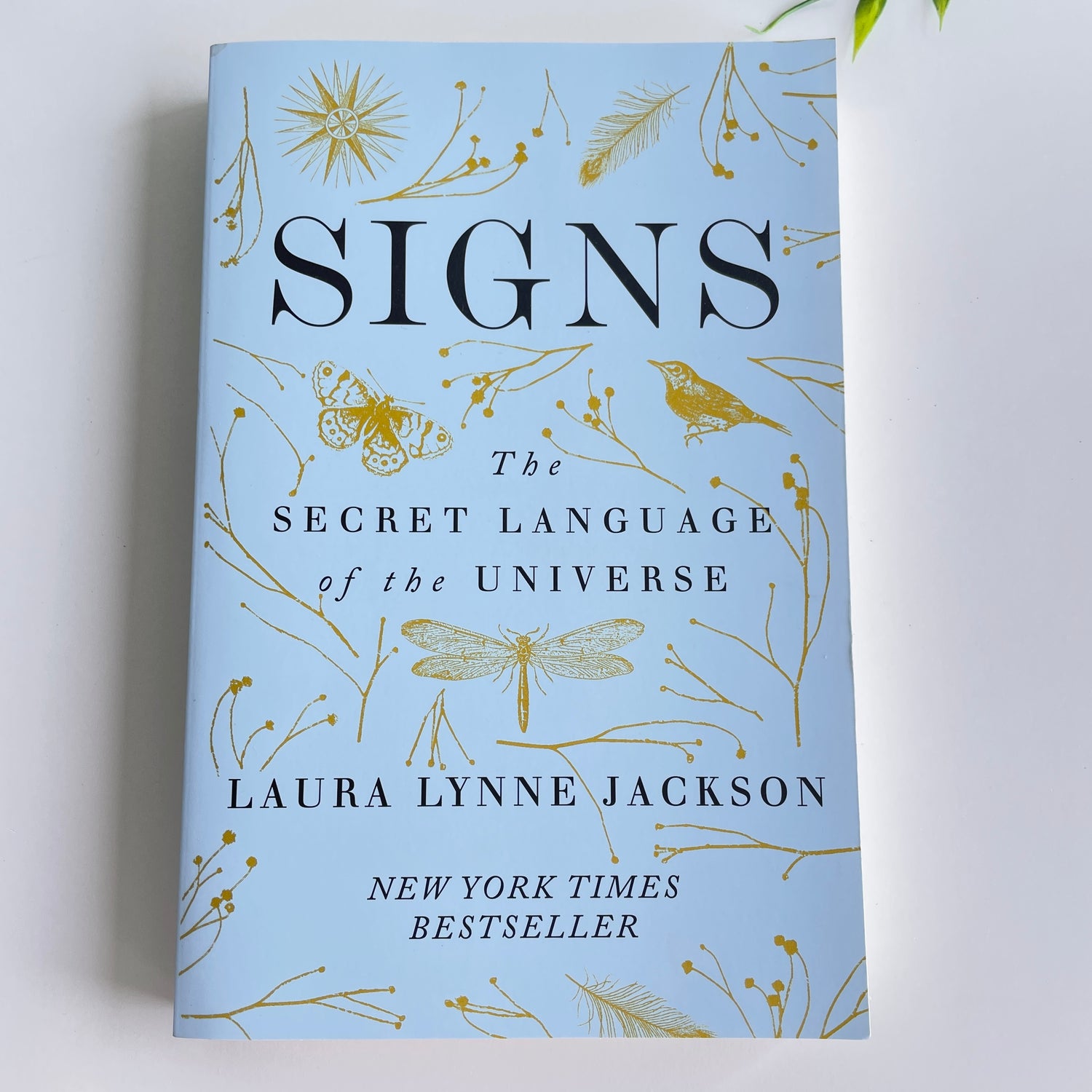Signs The Secret Language Of The Universe Laura Lynne Jackson