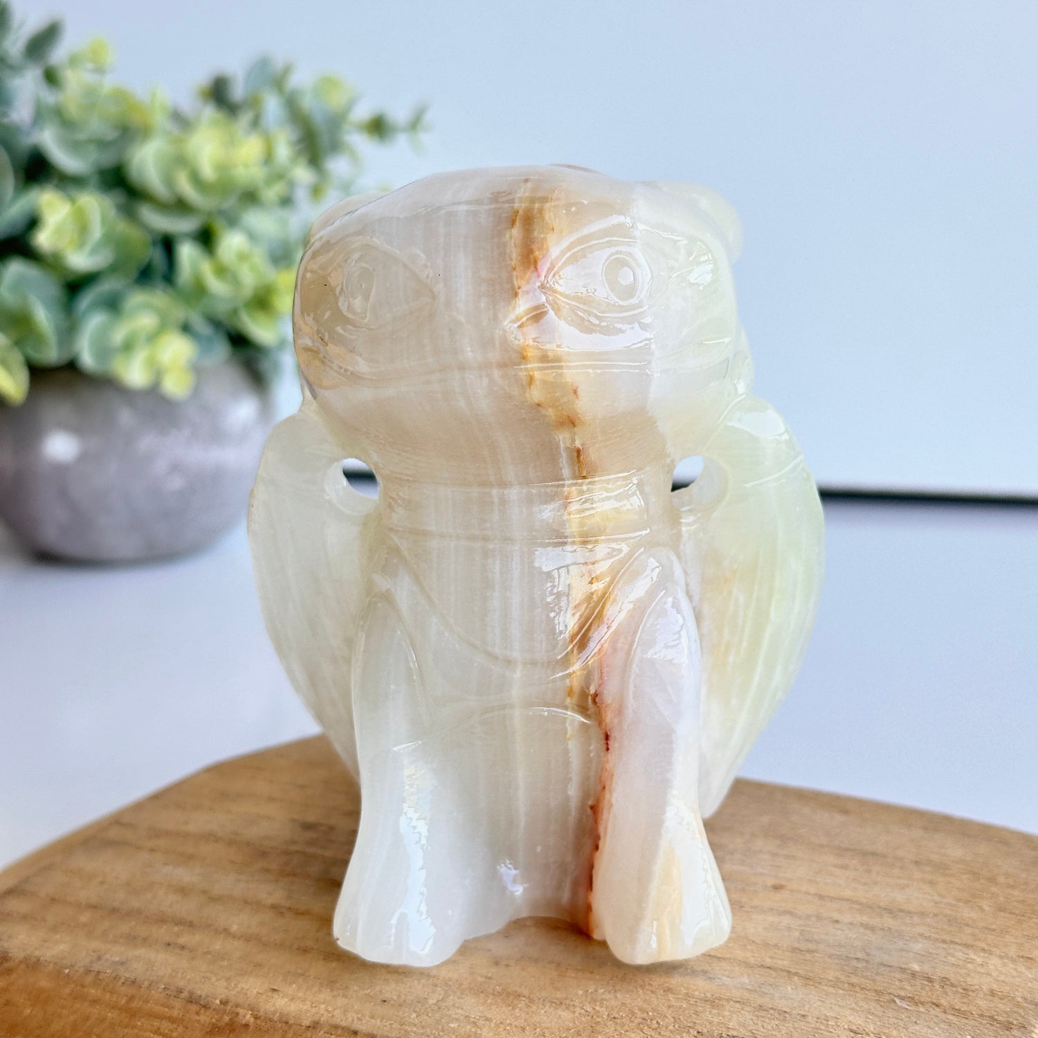 Green Onyx XL Toothless 02