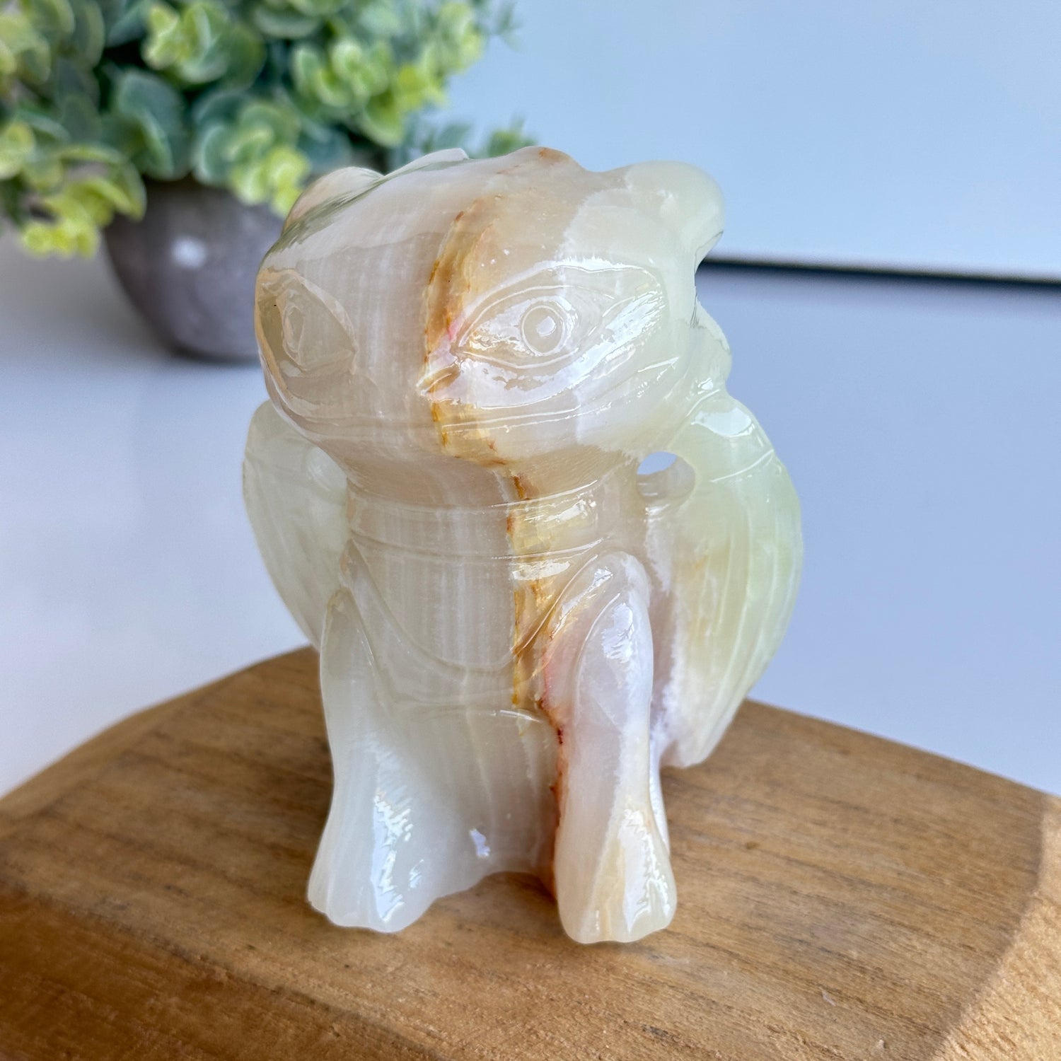 Green Onyx XL Toothless 02
