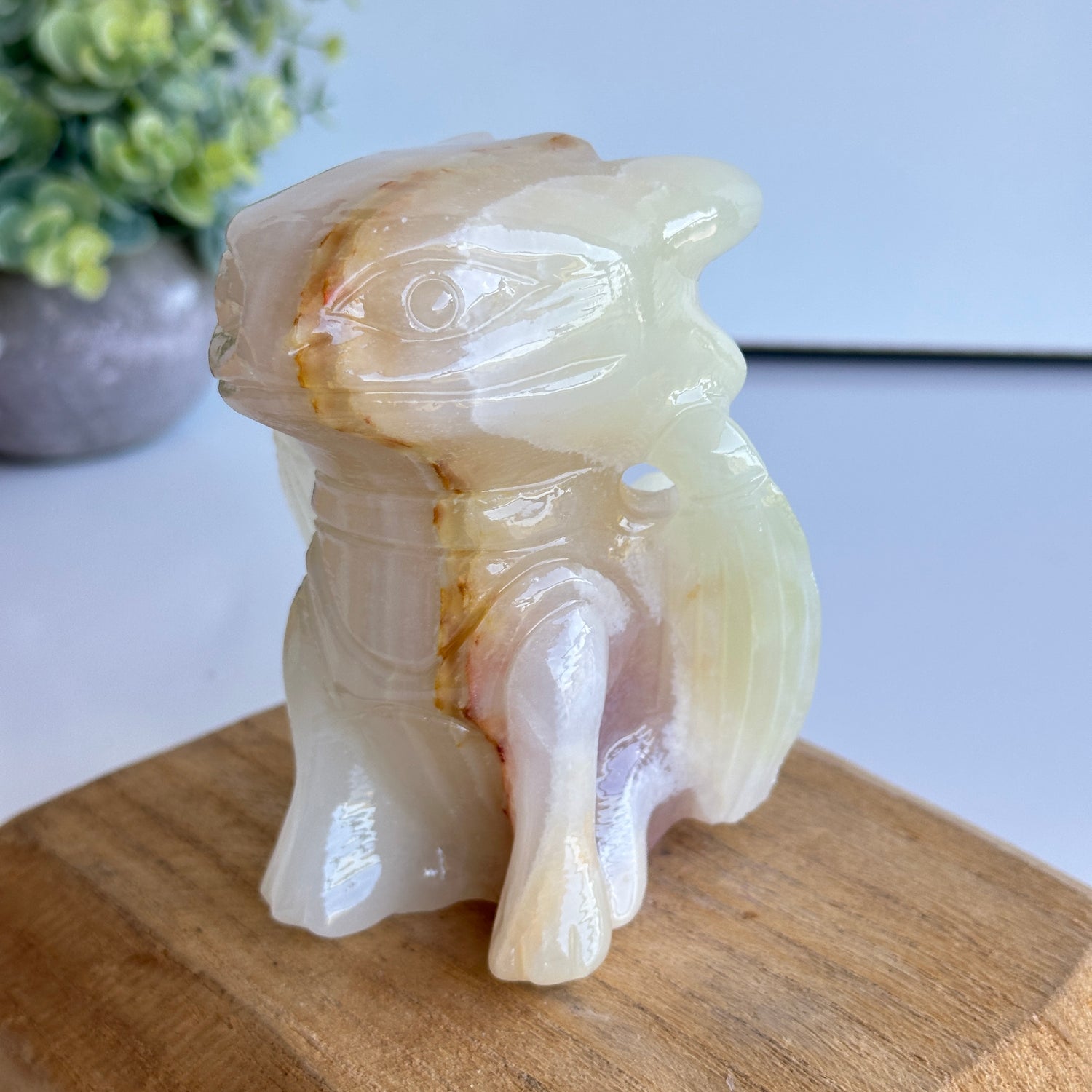 Green Onyx XL Toothless 02