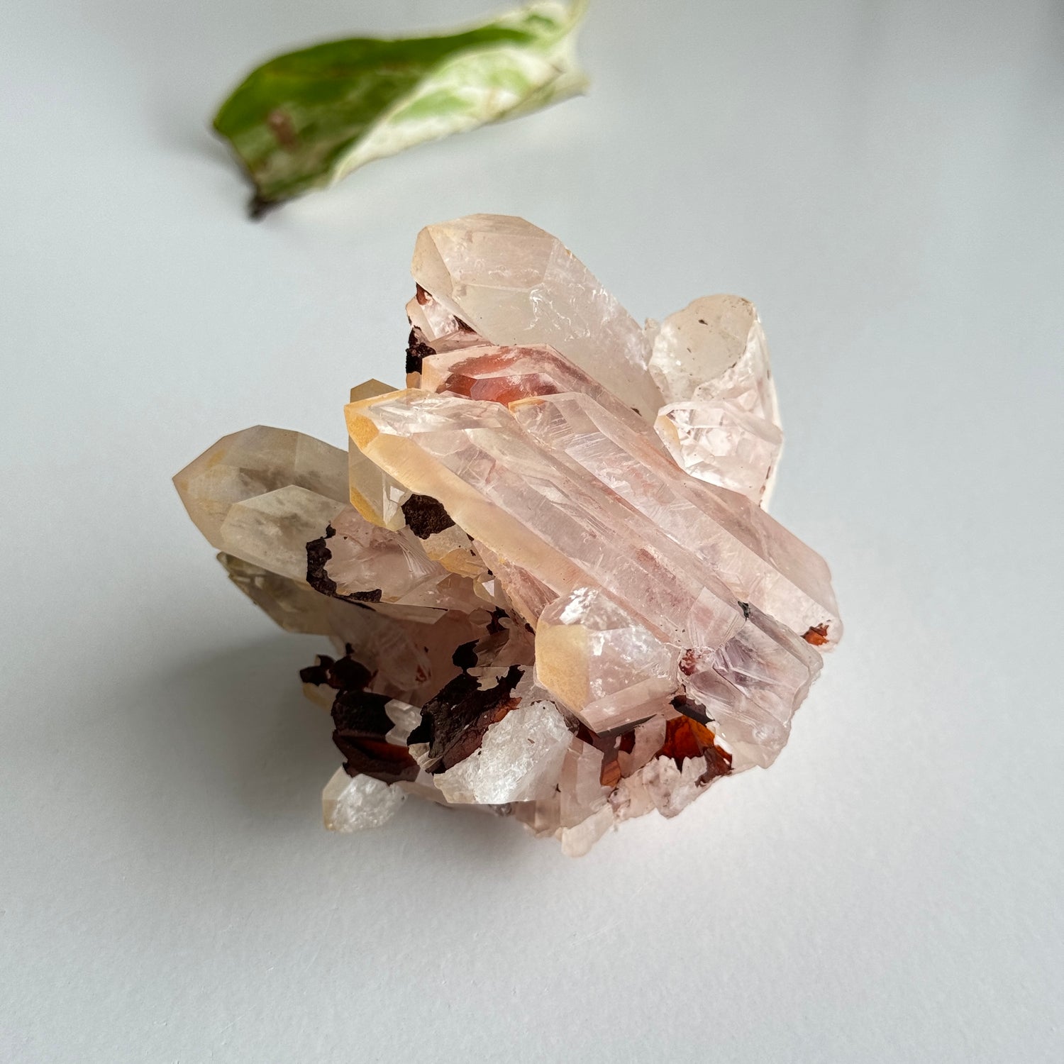 Clear Quartz Cluster 160g