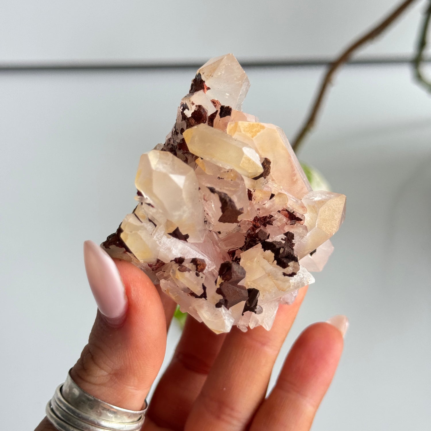 Clear Quartz Cluster 160g