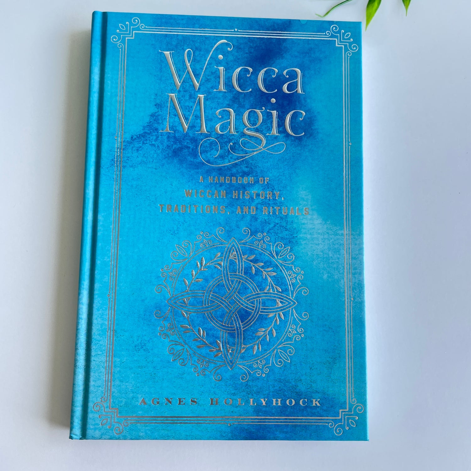 Wicca Magic Agnes Hollyhock