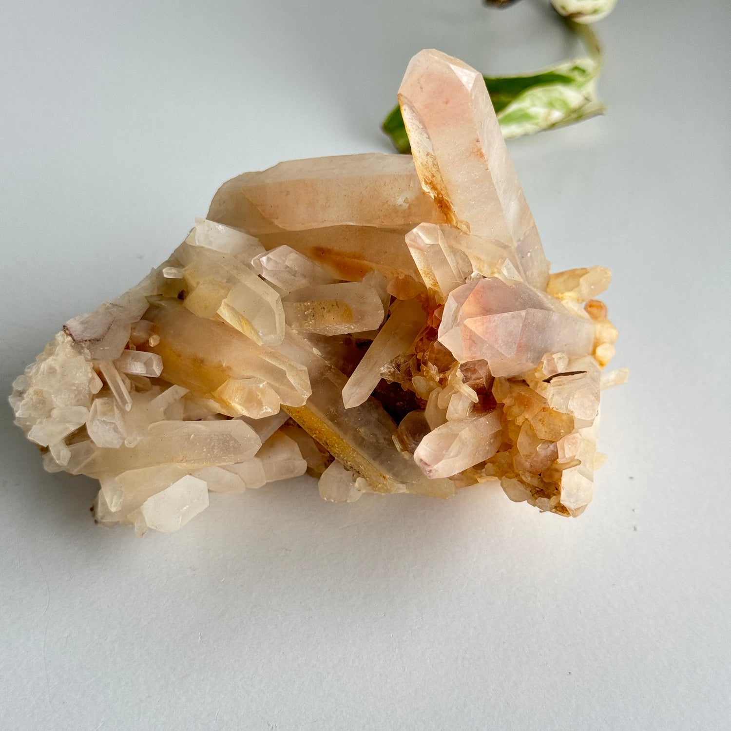Clear Quartz Cluster 372g