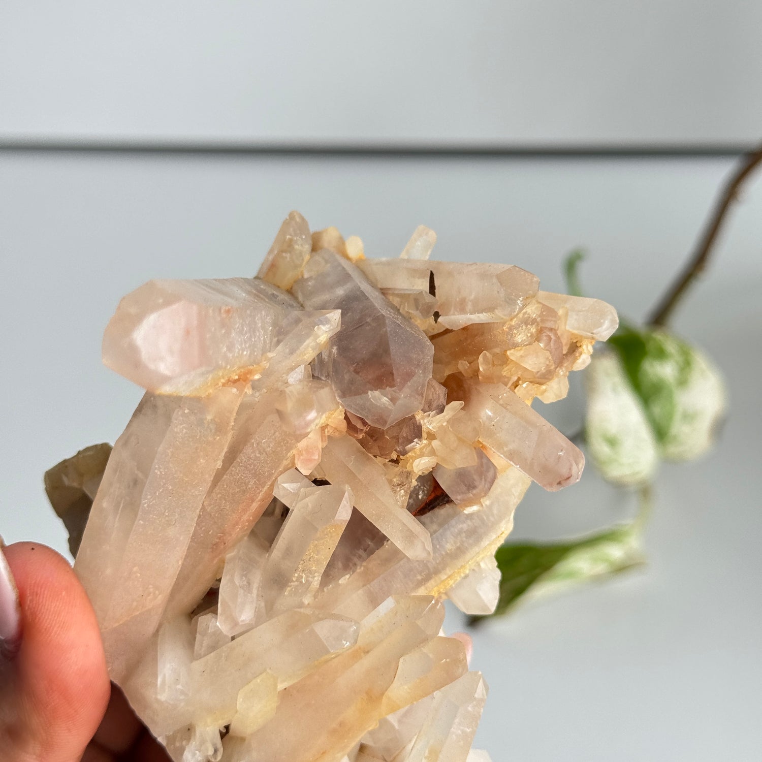 Clear Quartz Cluster 372g