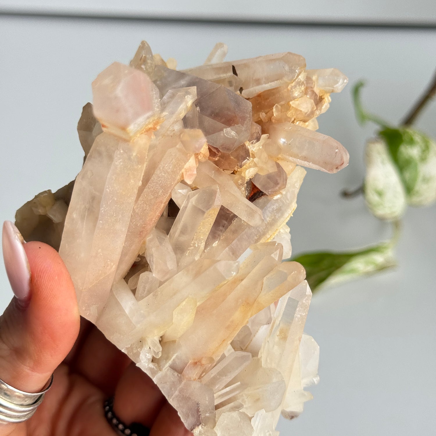 Clear Quartz Cluster 372g