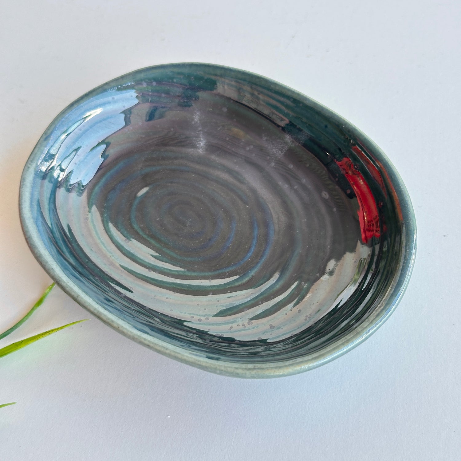 Mollusc Navy Dish KW2612