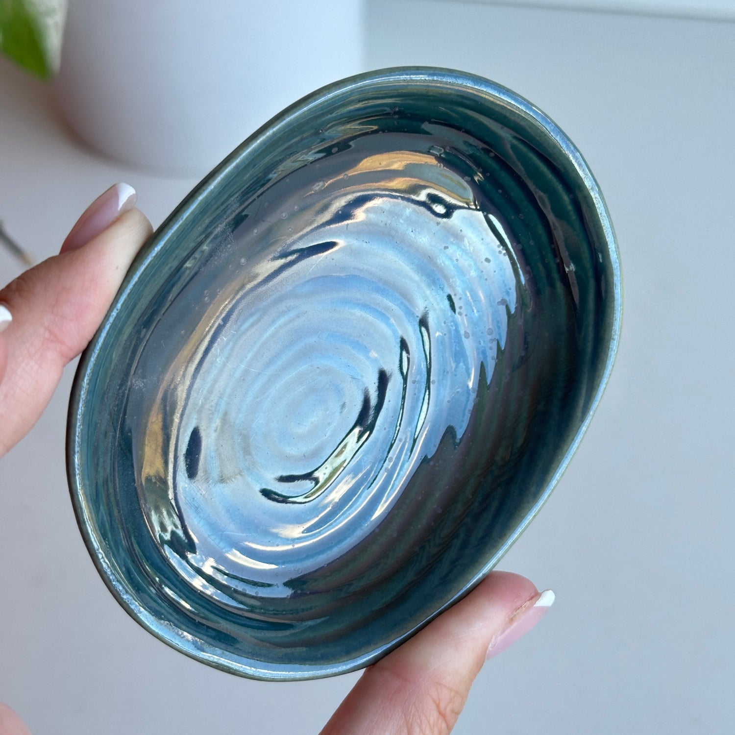 Mollusc Navy Dish KW2612