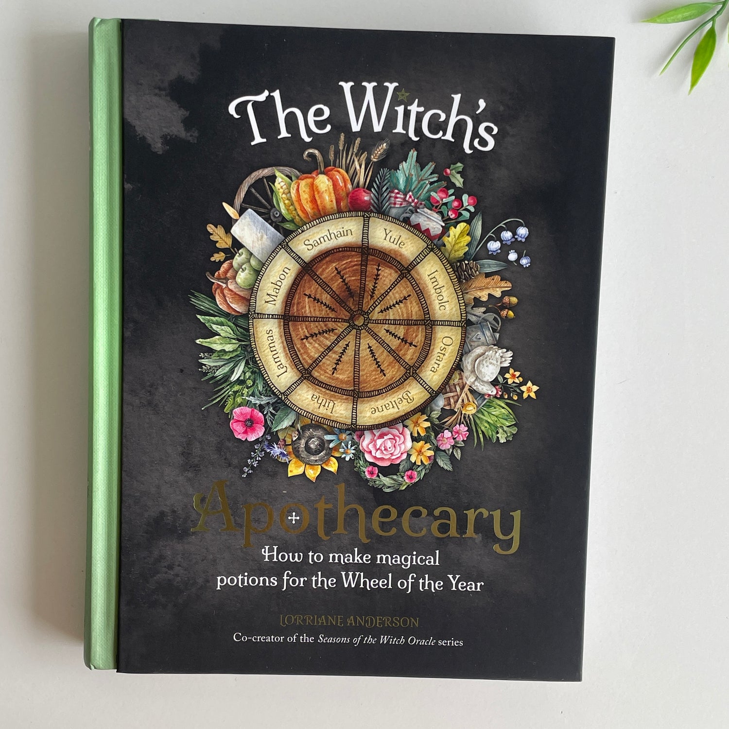The Witchs Apothecary Lorraine Anderson