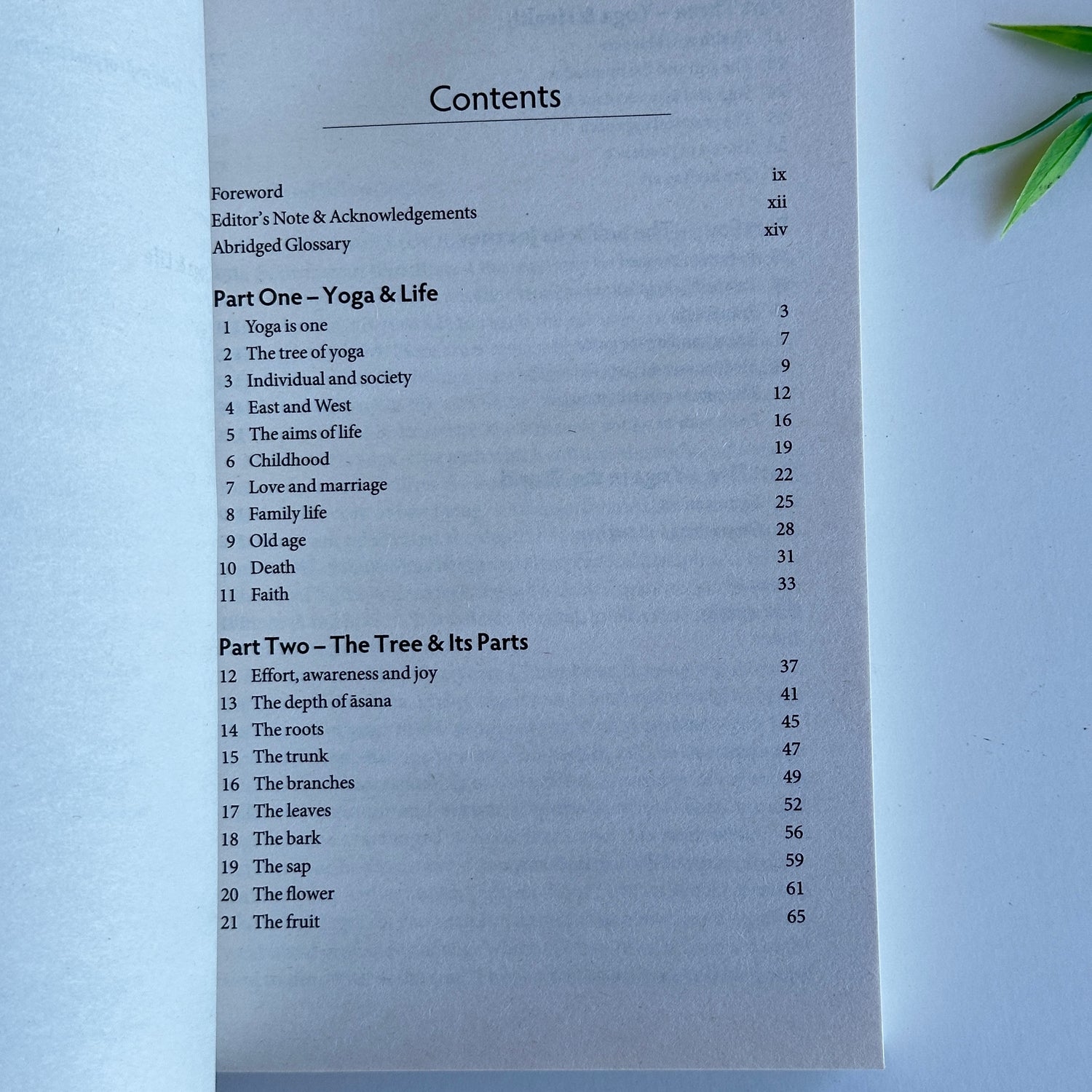 The Tree Of Yoga BKS Iyengar