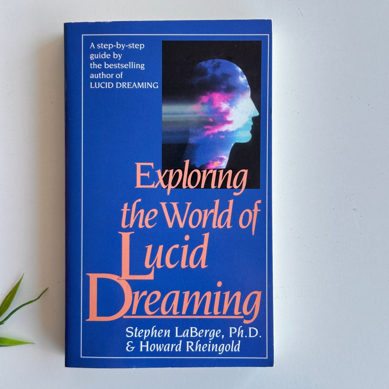 Exploring The World Of Lucid Dreaming Stephen LaBerge