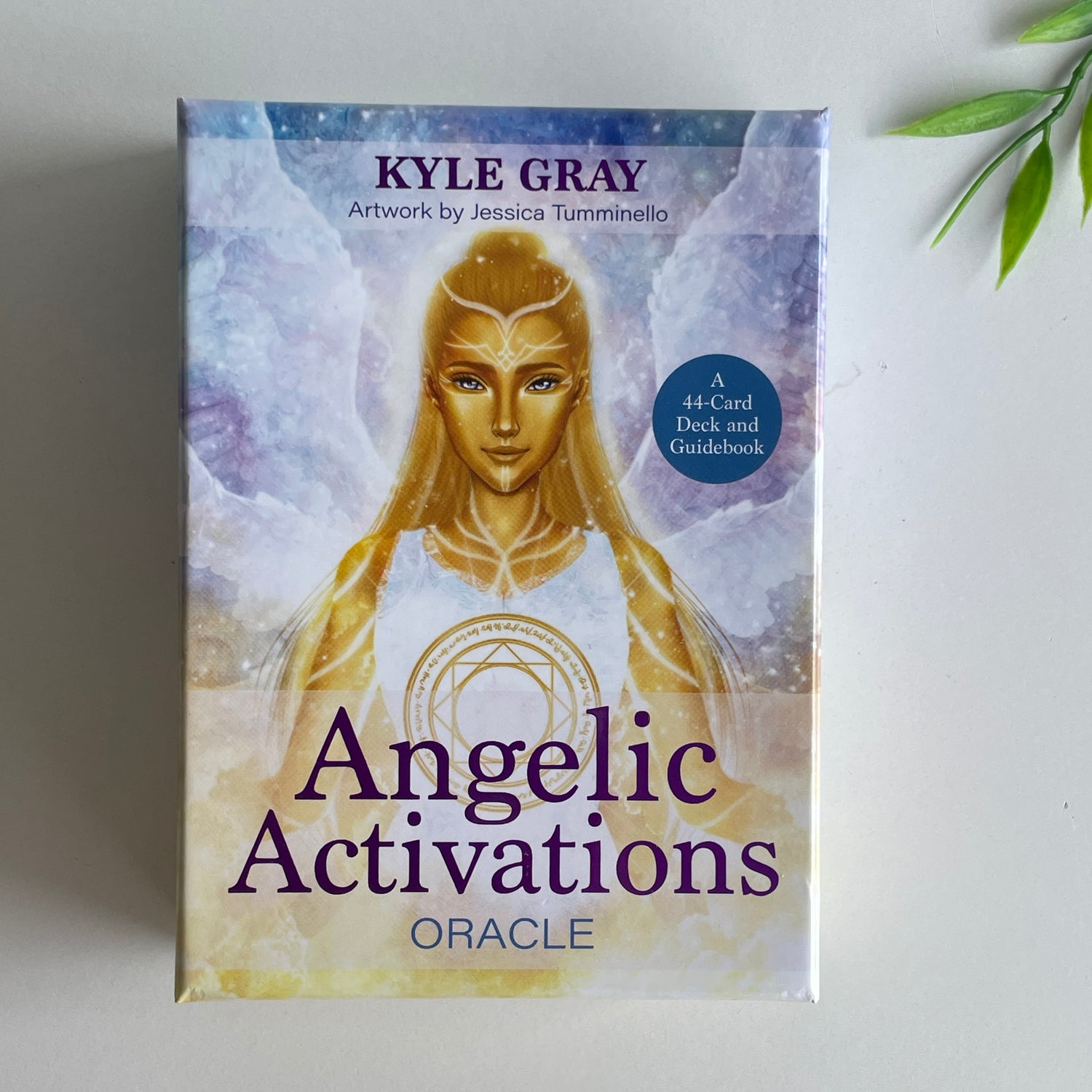 Angelic Activations Oracle Kyle Gray